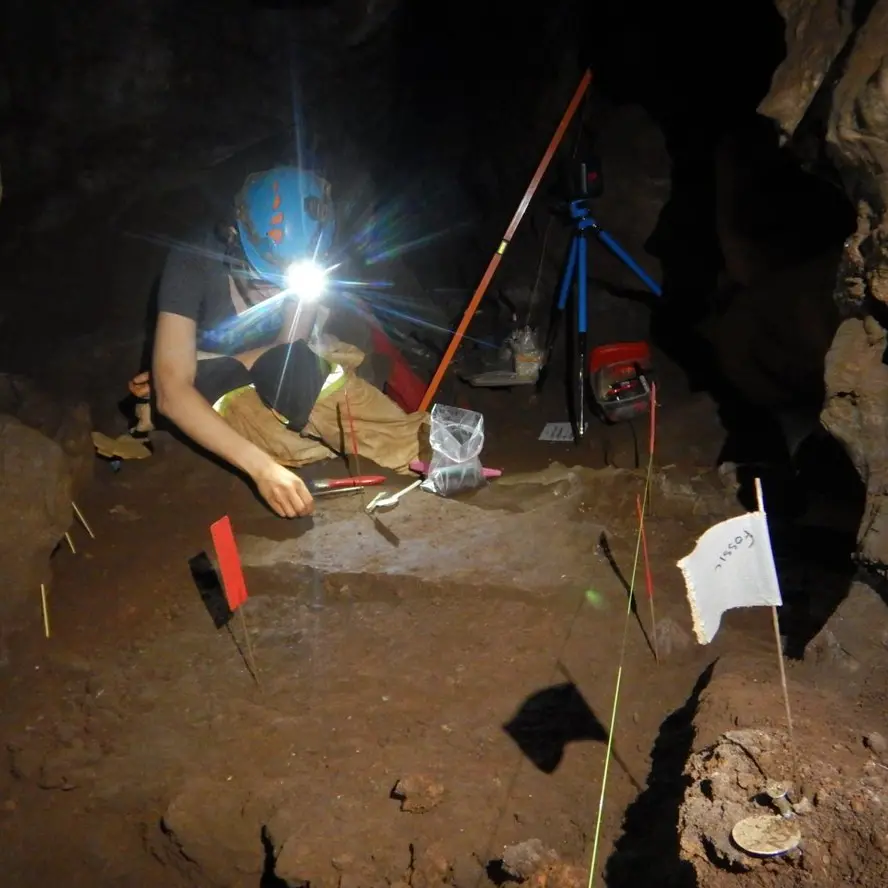 What was going on at the Rising Star cave complex?