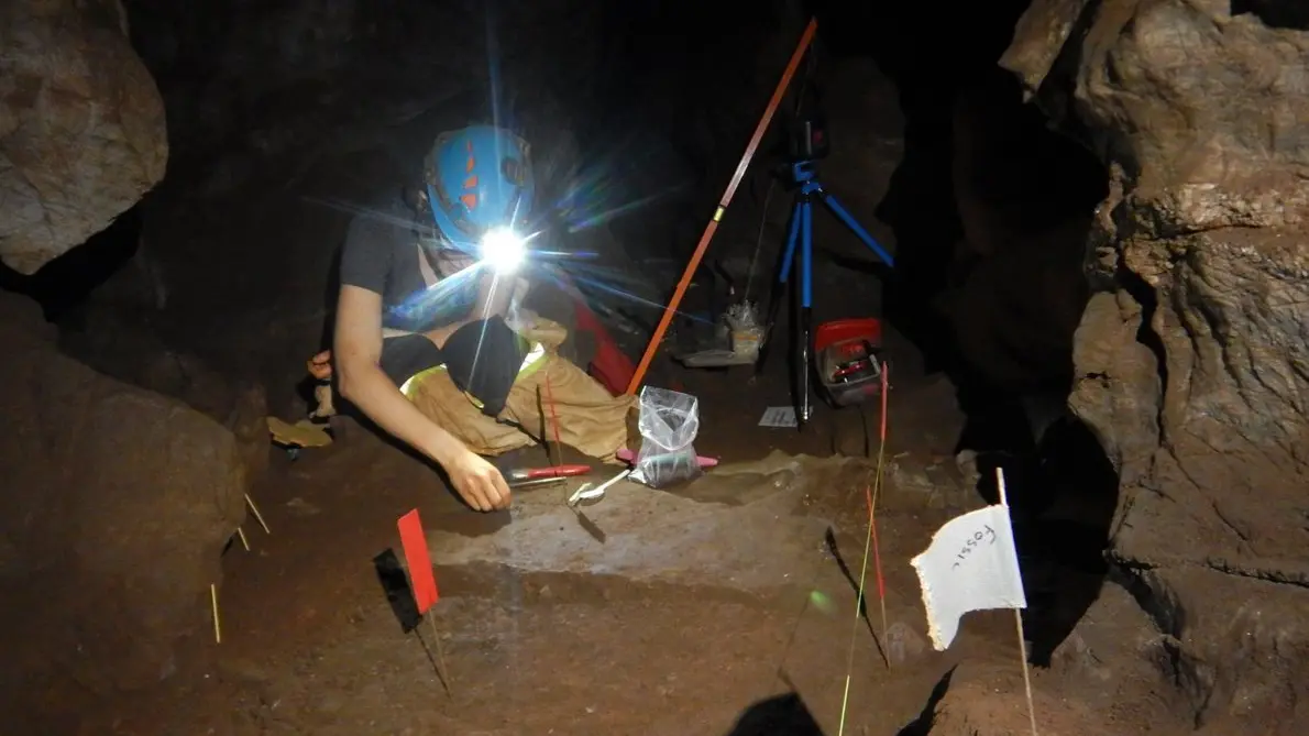 What was going on at the Rising Star cave complex?