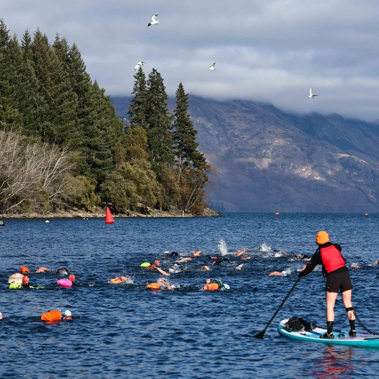 Swimmers brave ‘pretty chilly’ Wakatipu