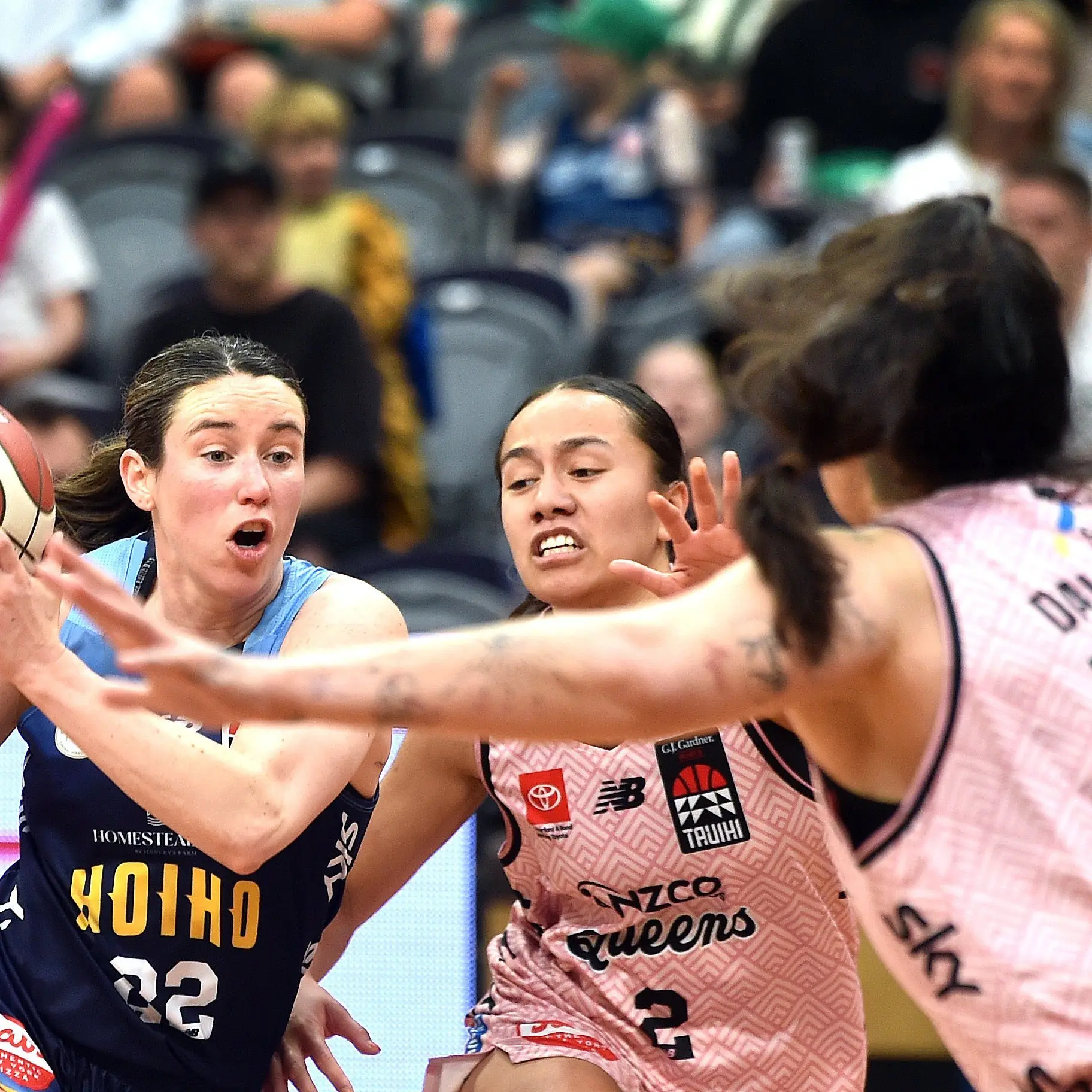Hoiho to open Tauihi campaign against the Pouākai