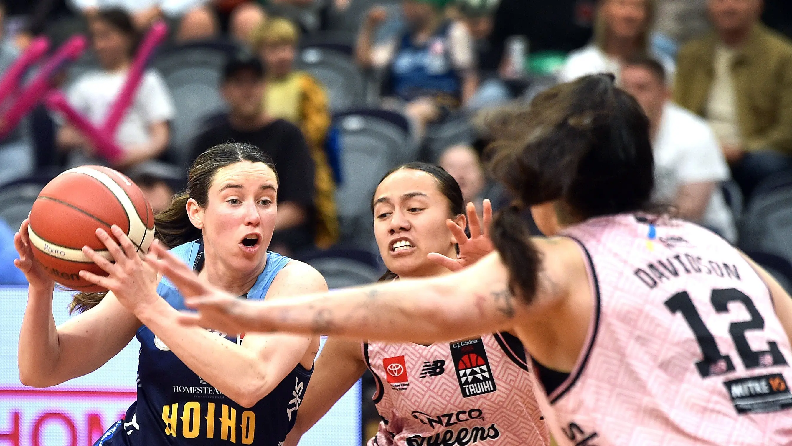 Hoiho to open Tauihi campaign against the Pouākai