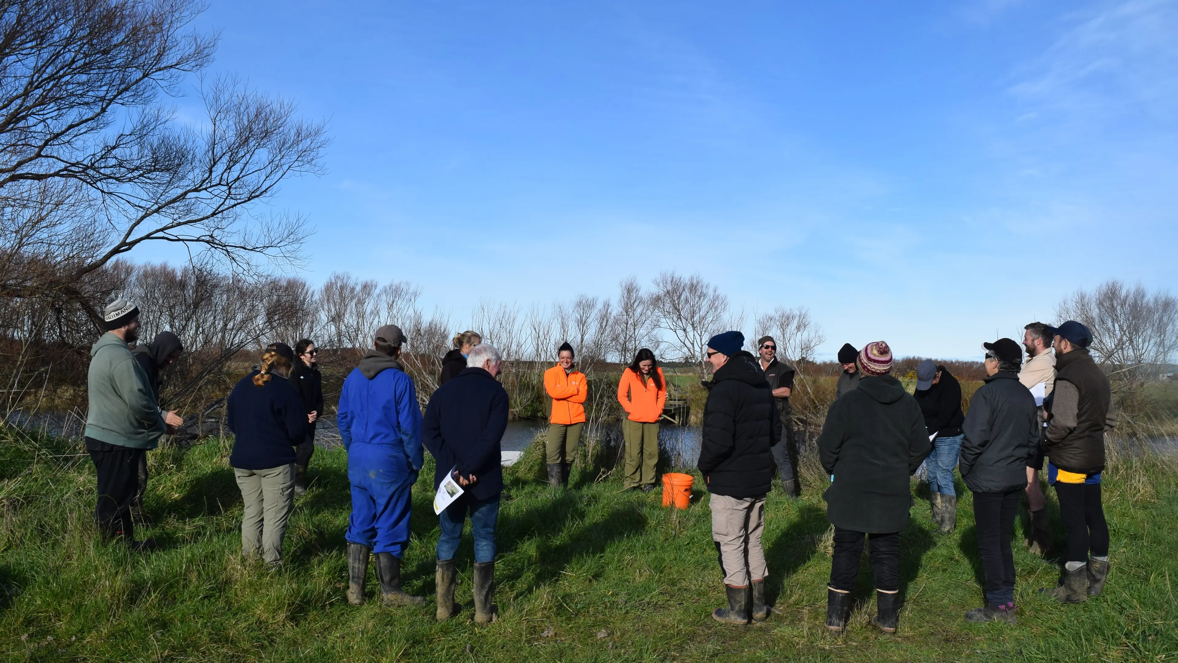 Call to protect whitebait spawning sites