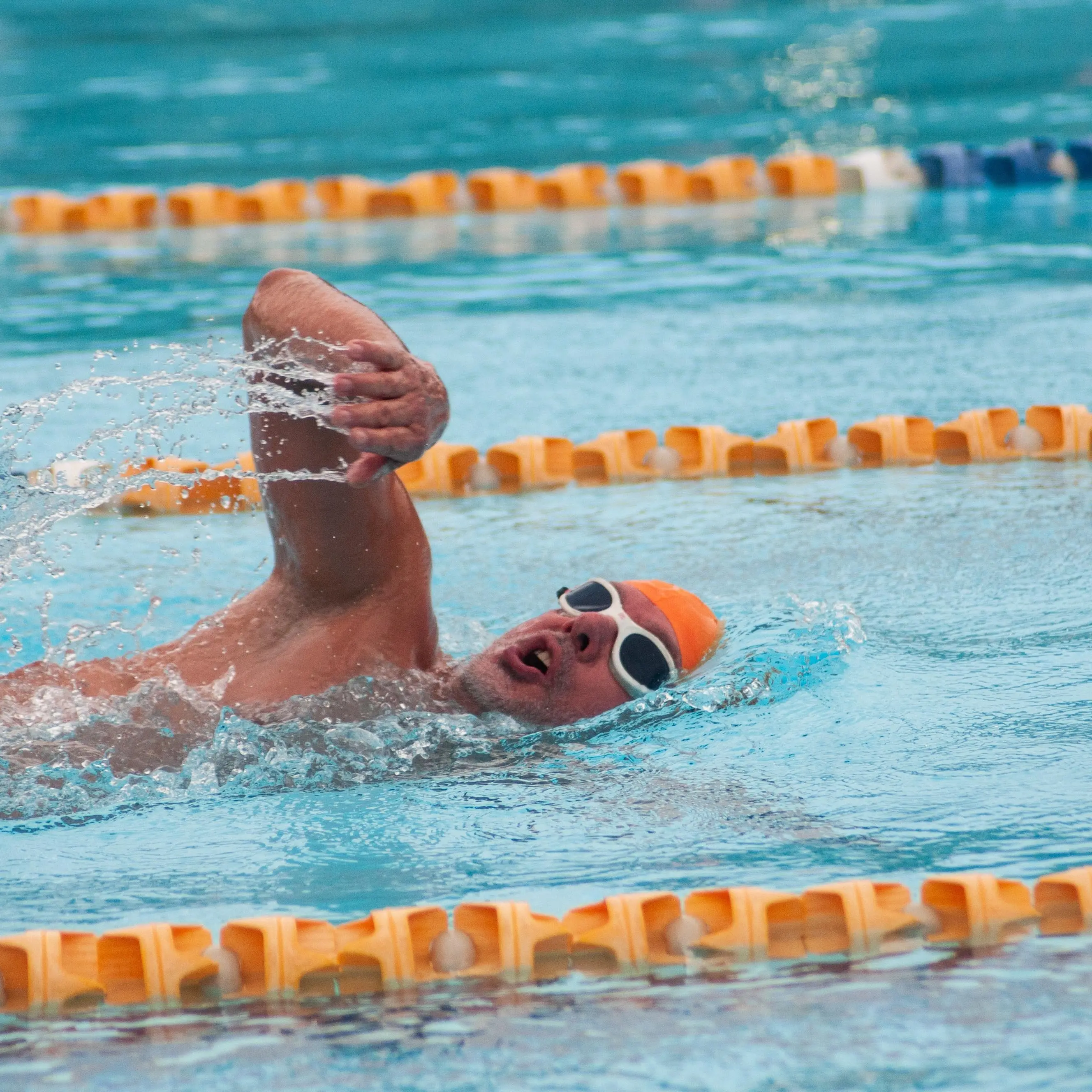 Extreme swimmers face icy dip