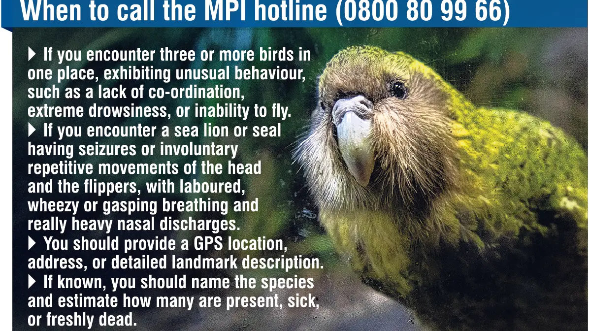 Flu fears for native species