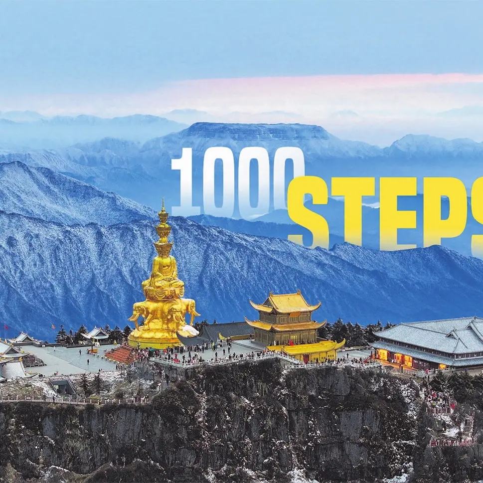 1000 steps