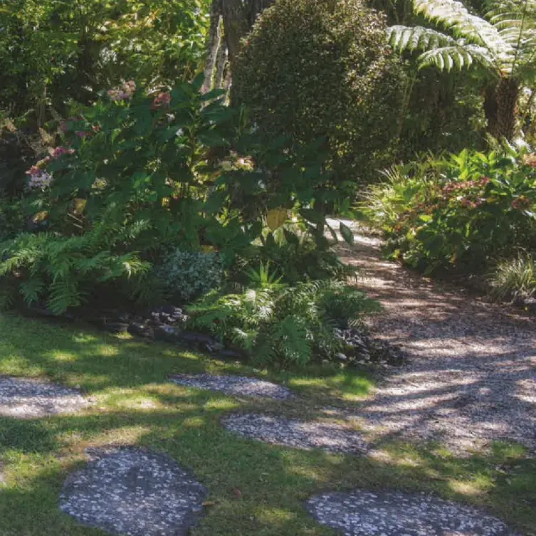 Inspiring designs shed light on NZ natives