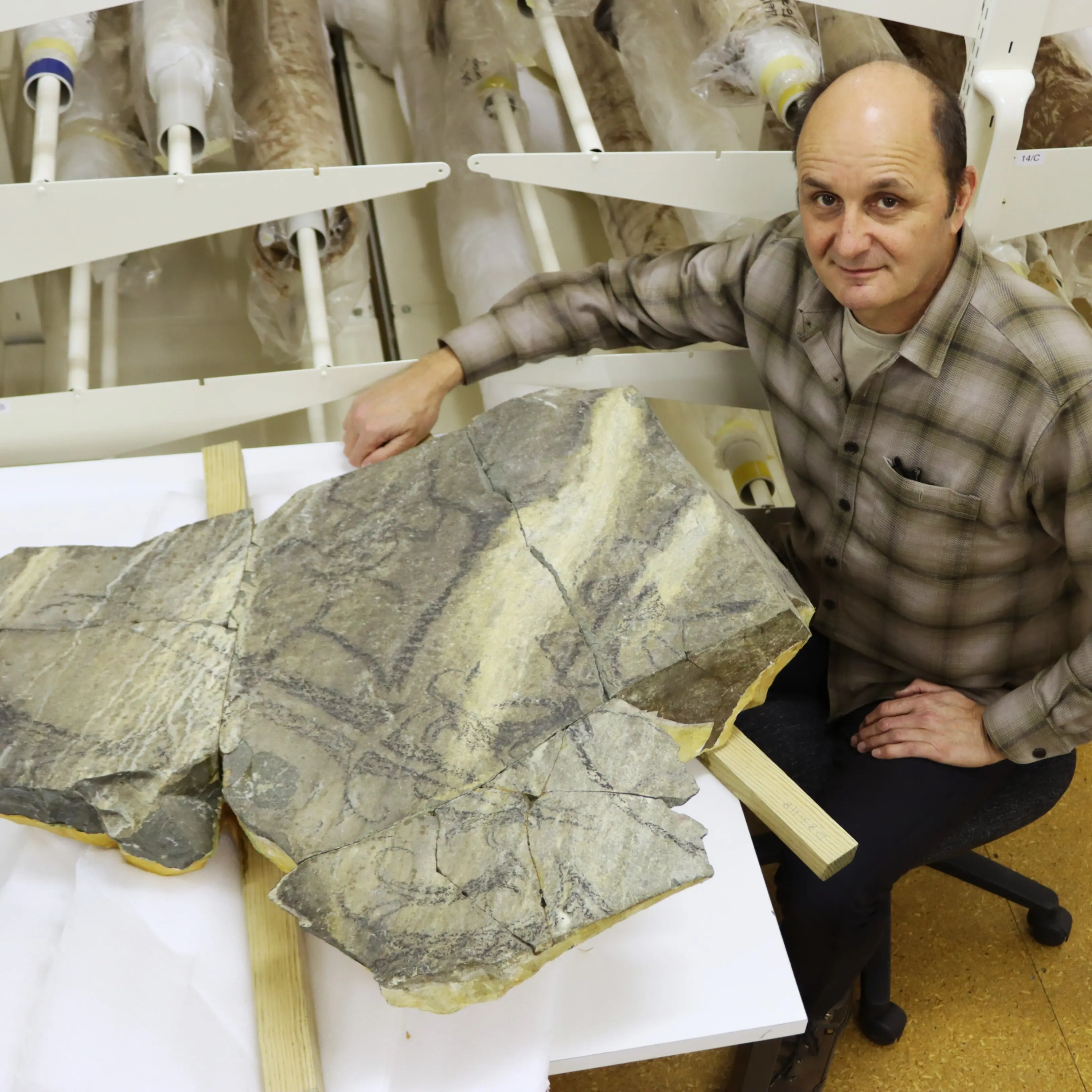 Researchers are decoding and redefining Māori rock art