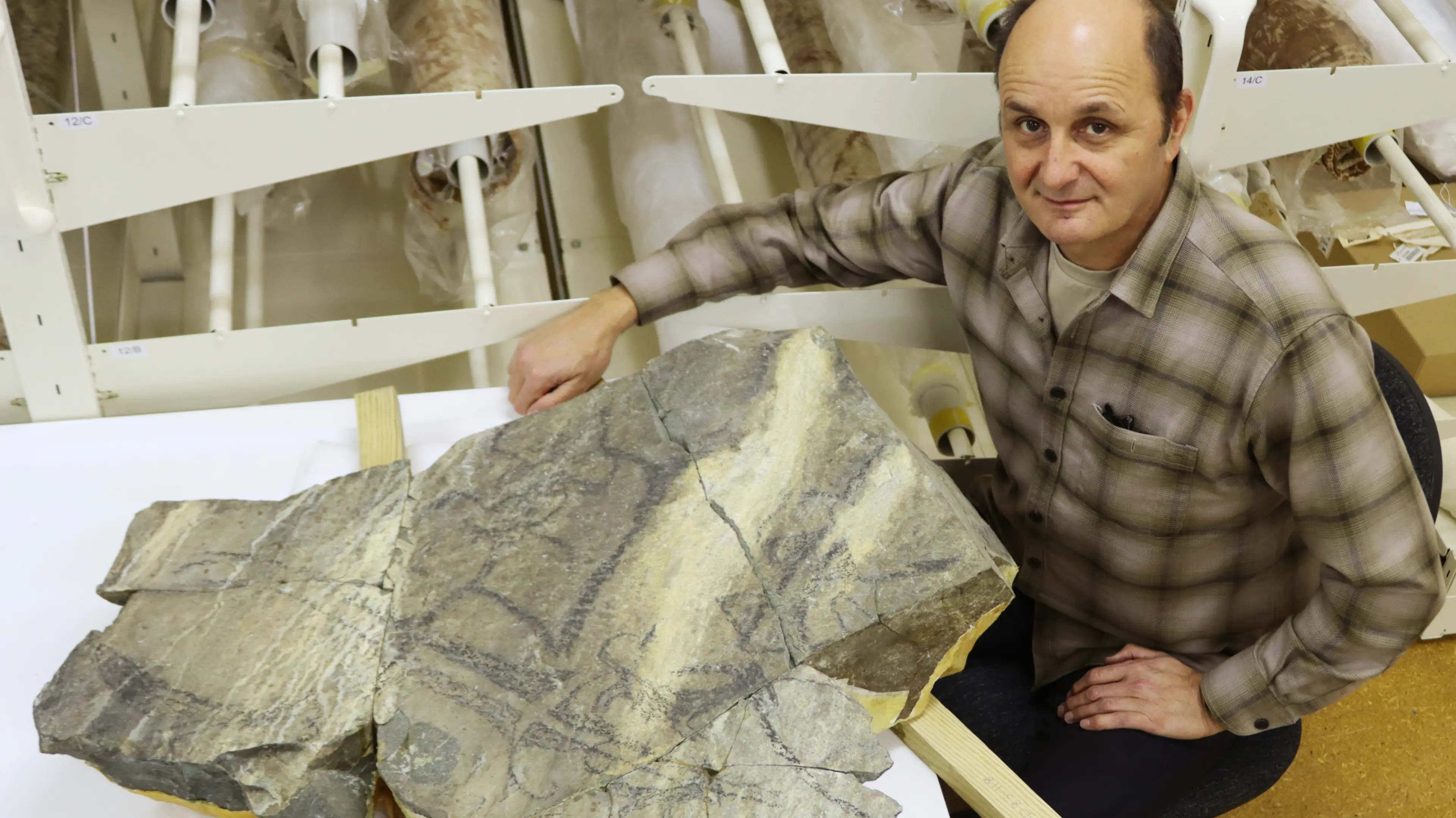 Researchers are decoding and redefining Māori rock art