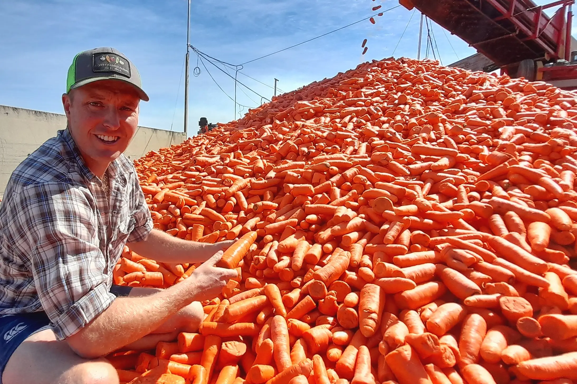 Daniel Lovett with freshly harvested carrots - bound for juice and puree markets in Japan - at Lovett Family Farms in Ashburton is among a trio of finalists vying for the Positive Environment Impact Award at the Arable Awards. Photo: Toni Williams