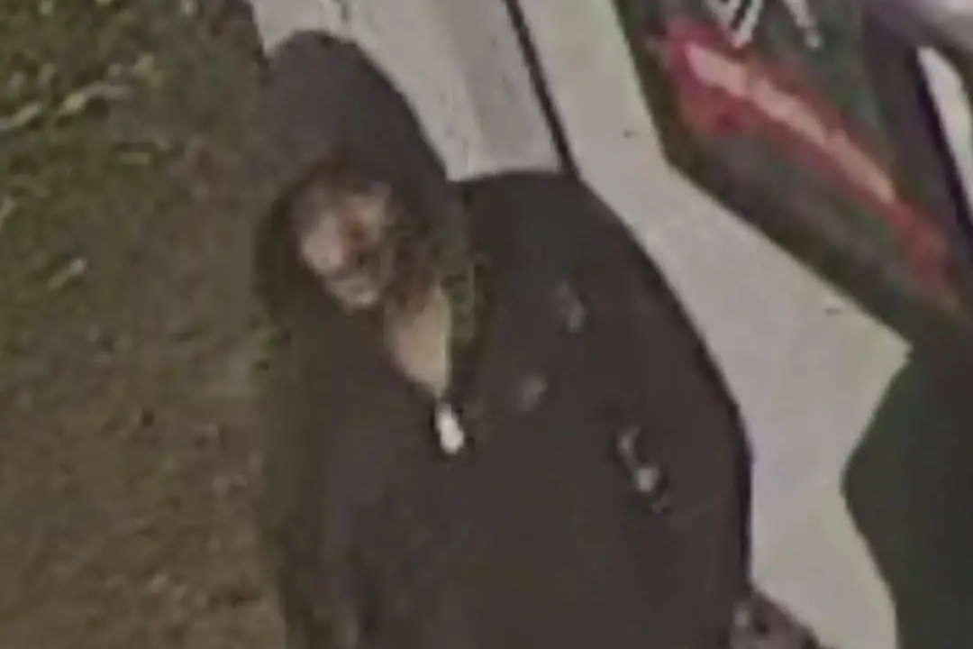A man was caught on security camera at the Riccarton Knights Rugby League Club on Sunday morning. Photo: Riccarton Knights