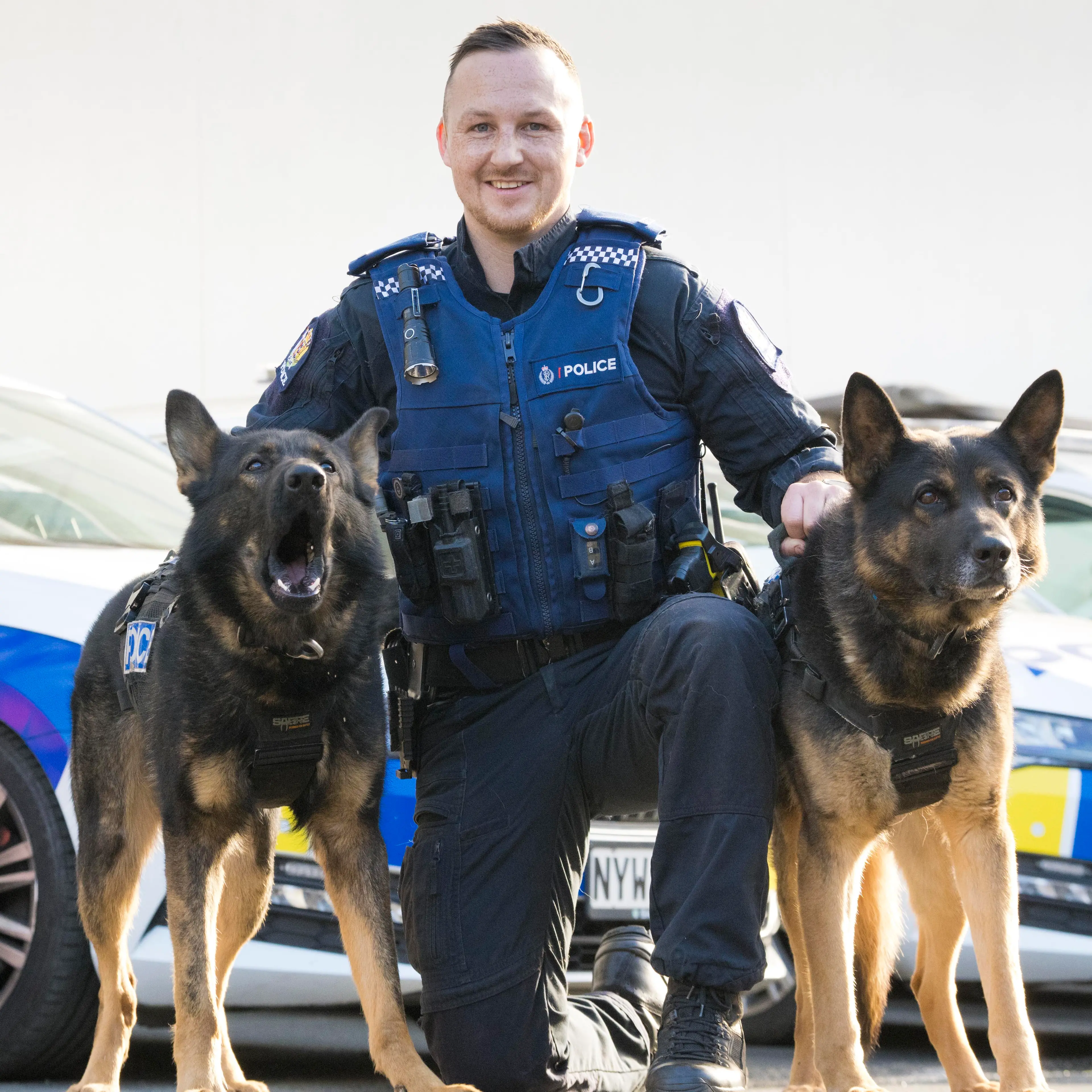 Retiring police dog passes on the vest