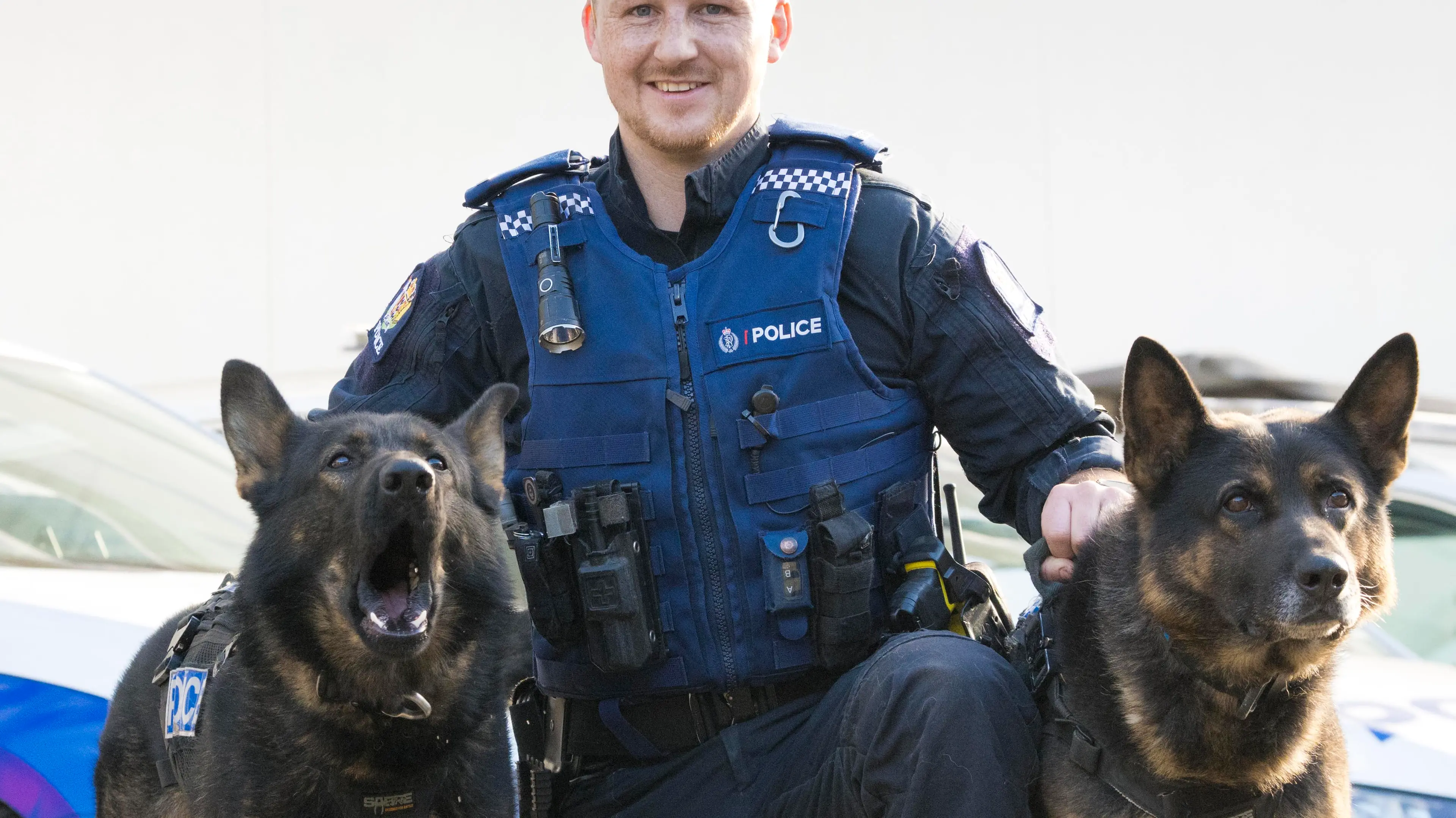 Retiring police dog passes on the vest