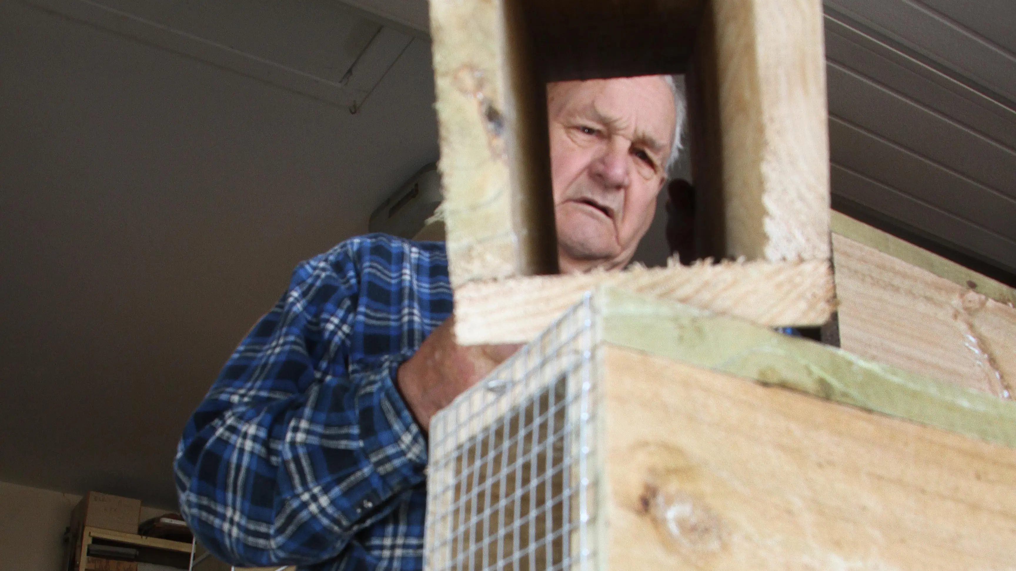 Canterbury toy maker keeping busy