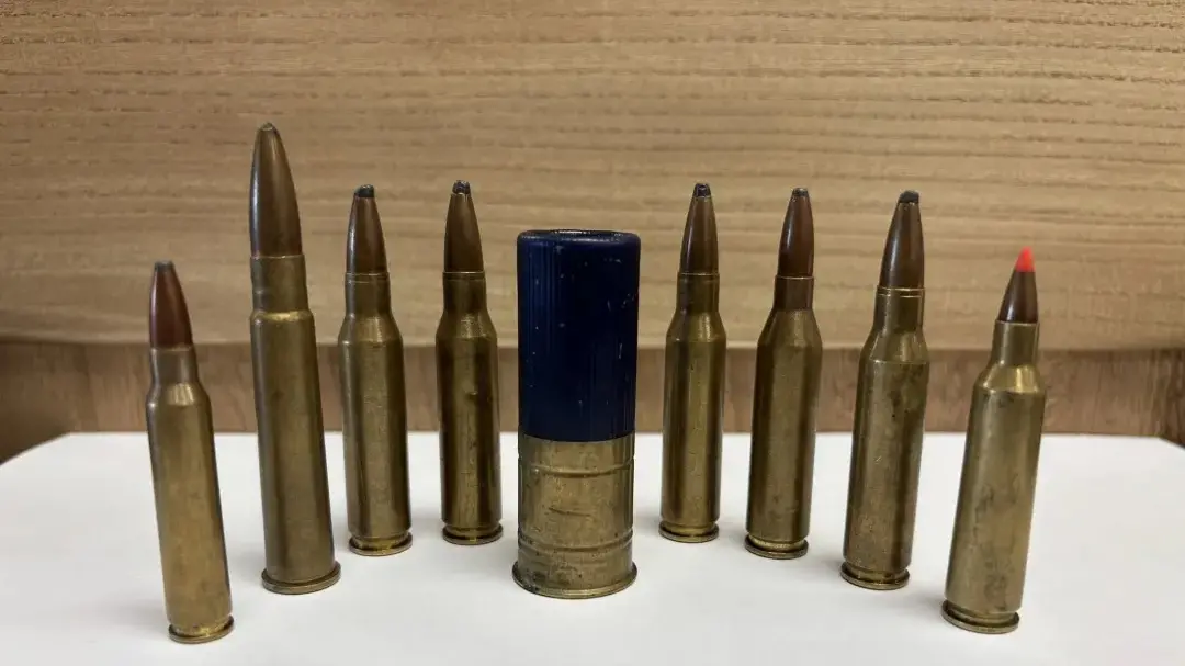 Bullets found in wool bales 'deeply shocking'