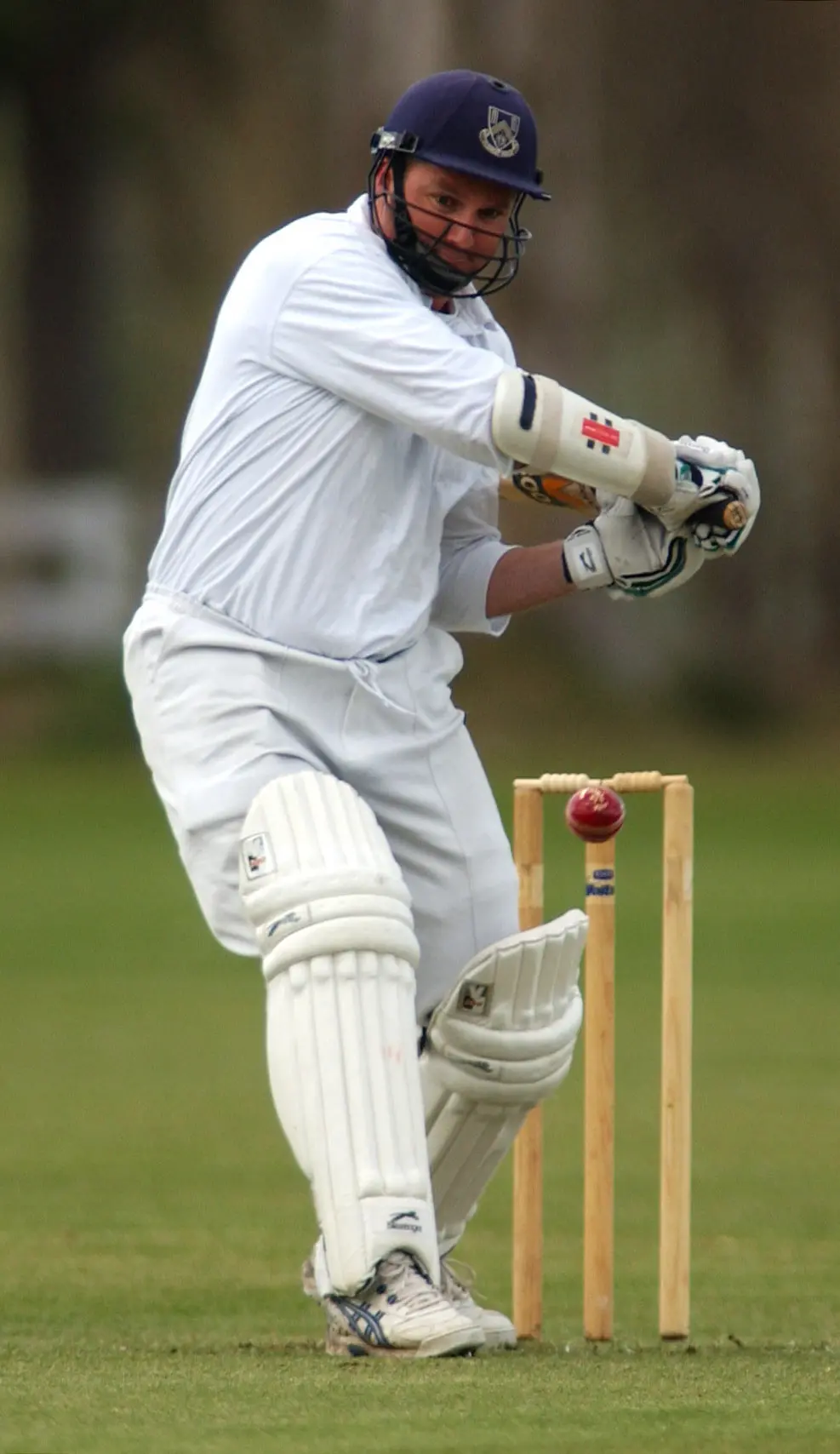 Former Otago batter thumps world record