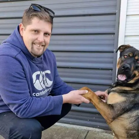 Big year for dog shelter