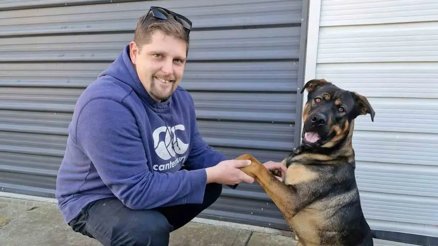 Big year for dog shelter