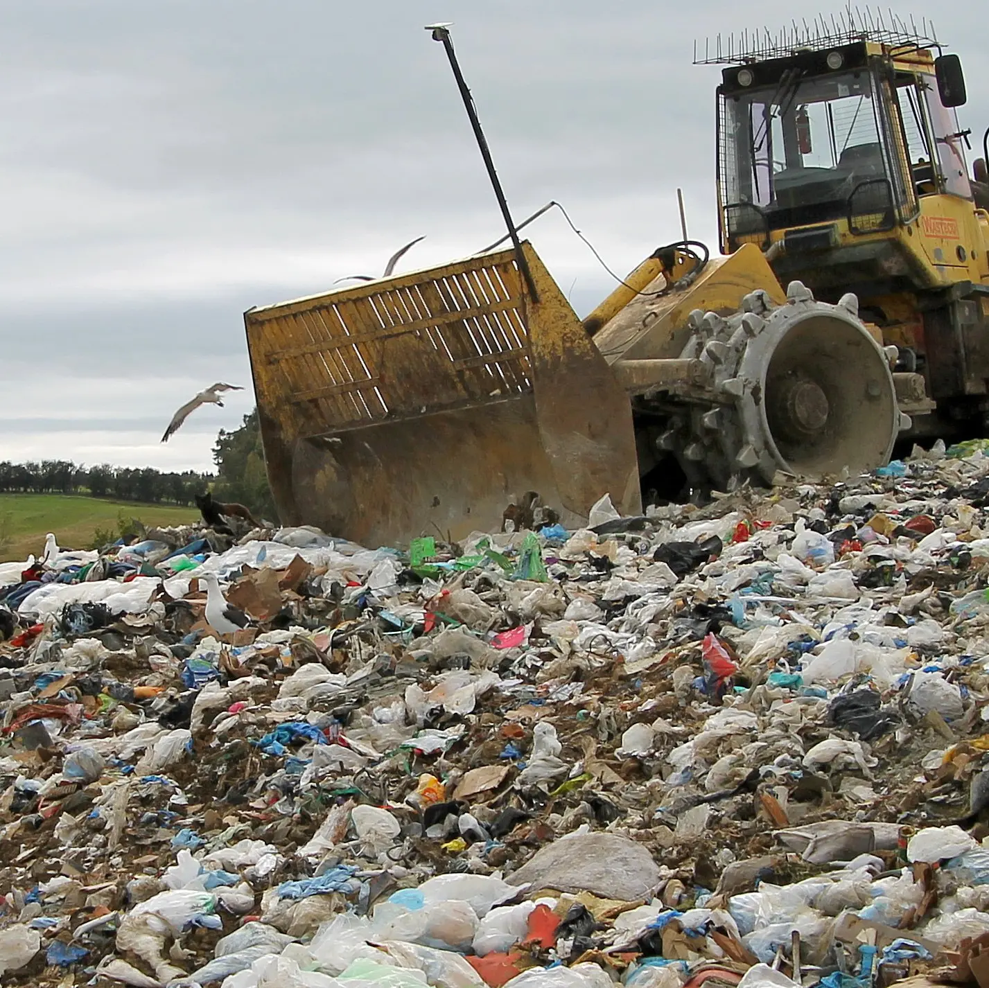 Clutha hopes to turn costly landfill headache into multimillion-dollar revenue machine