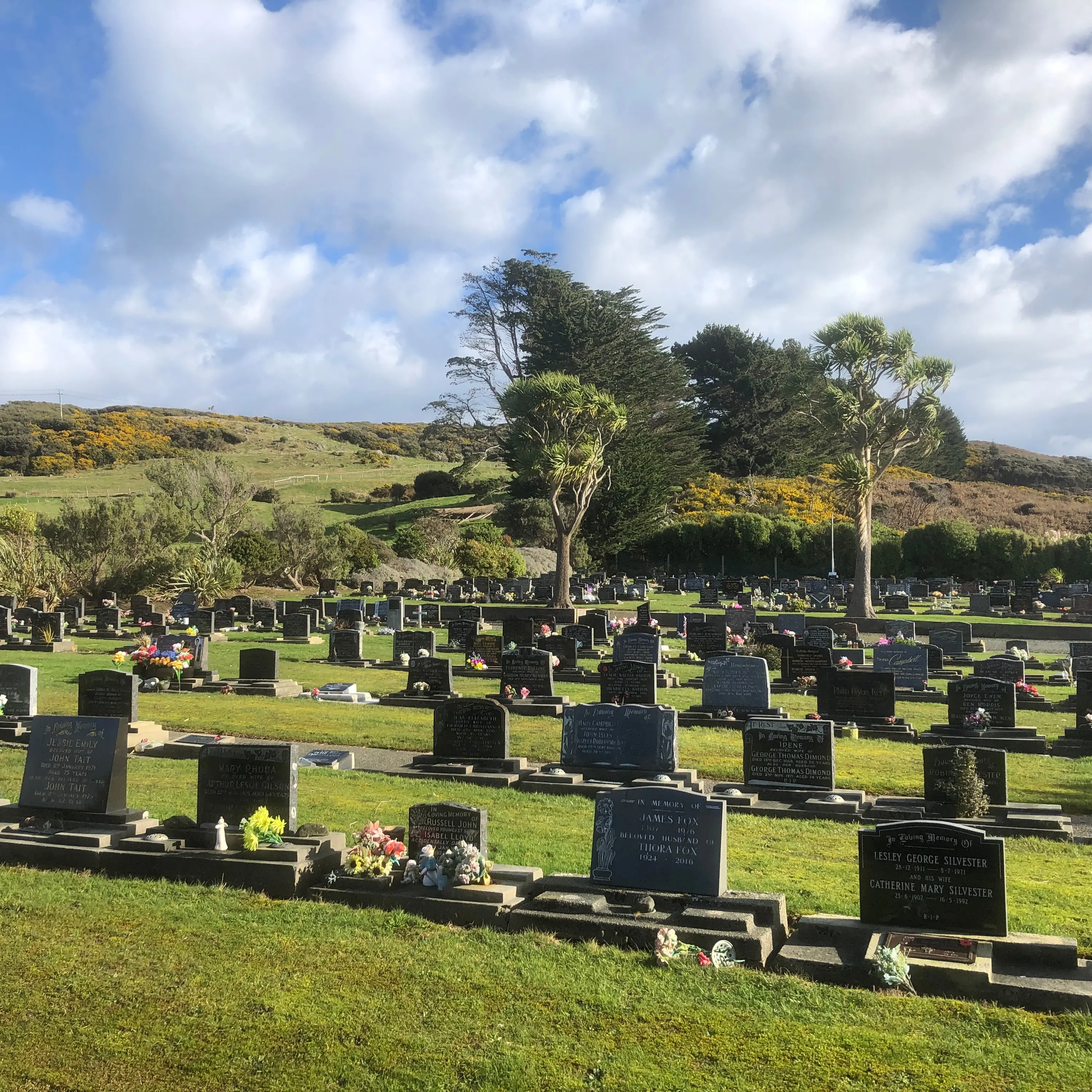 ‘Traumatic experience’ at Southland cemetery due to drainage issues