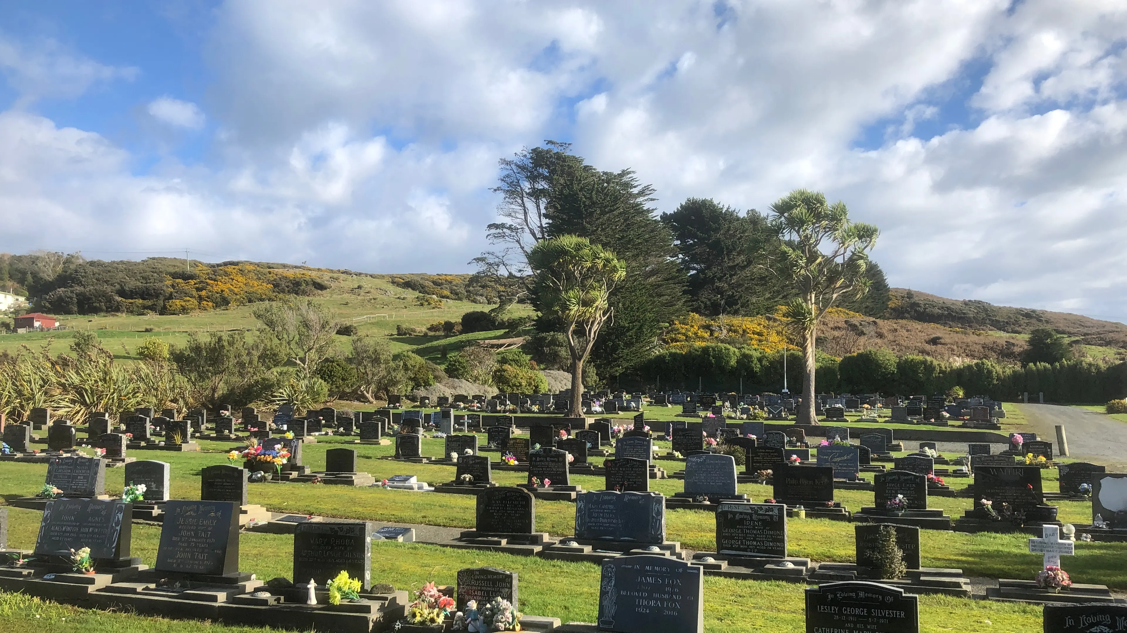 ‘Traumatic experience’ at Southland cemetery due to drainage issues