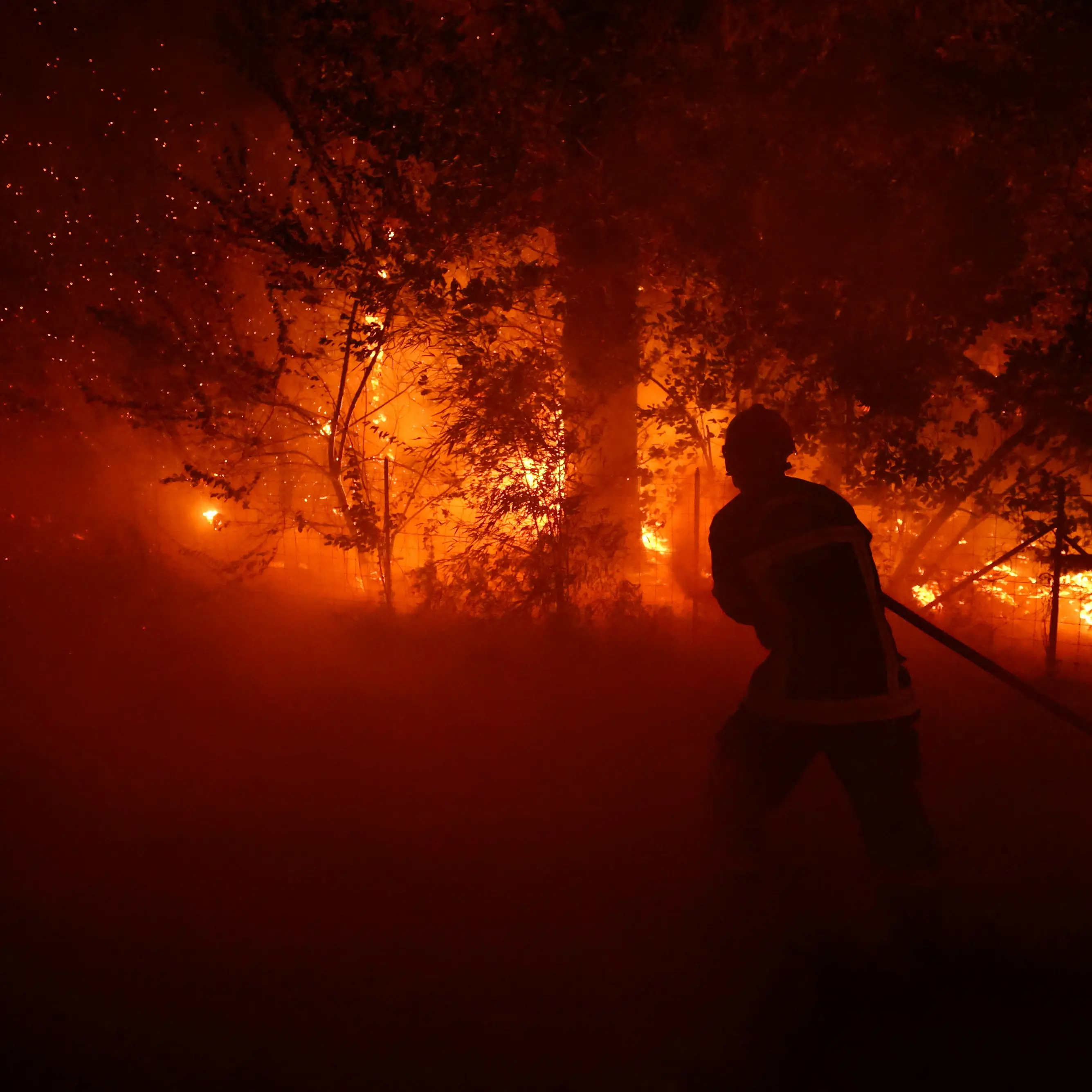 More than 10,000 evacuated as wildfires continue