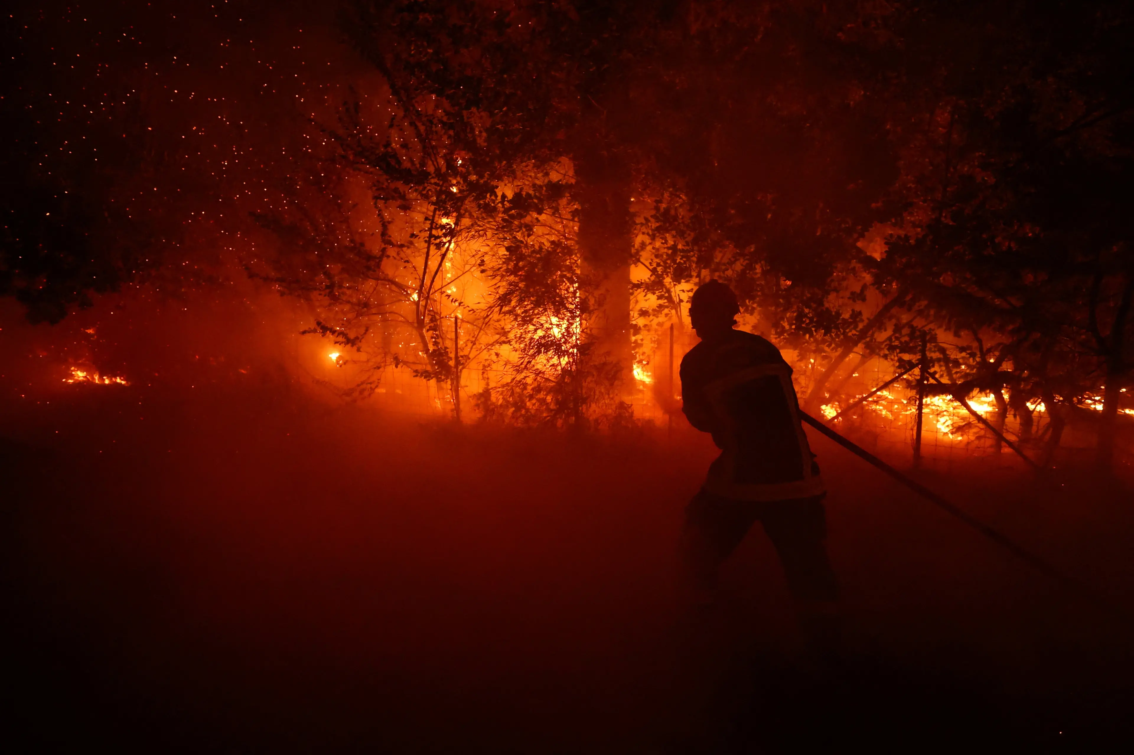 More than 10,000 evacuated as wildfires continue