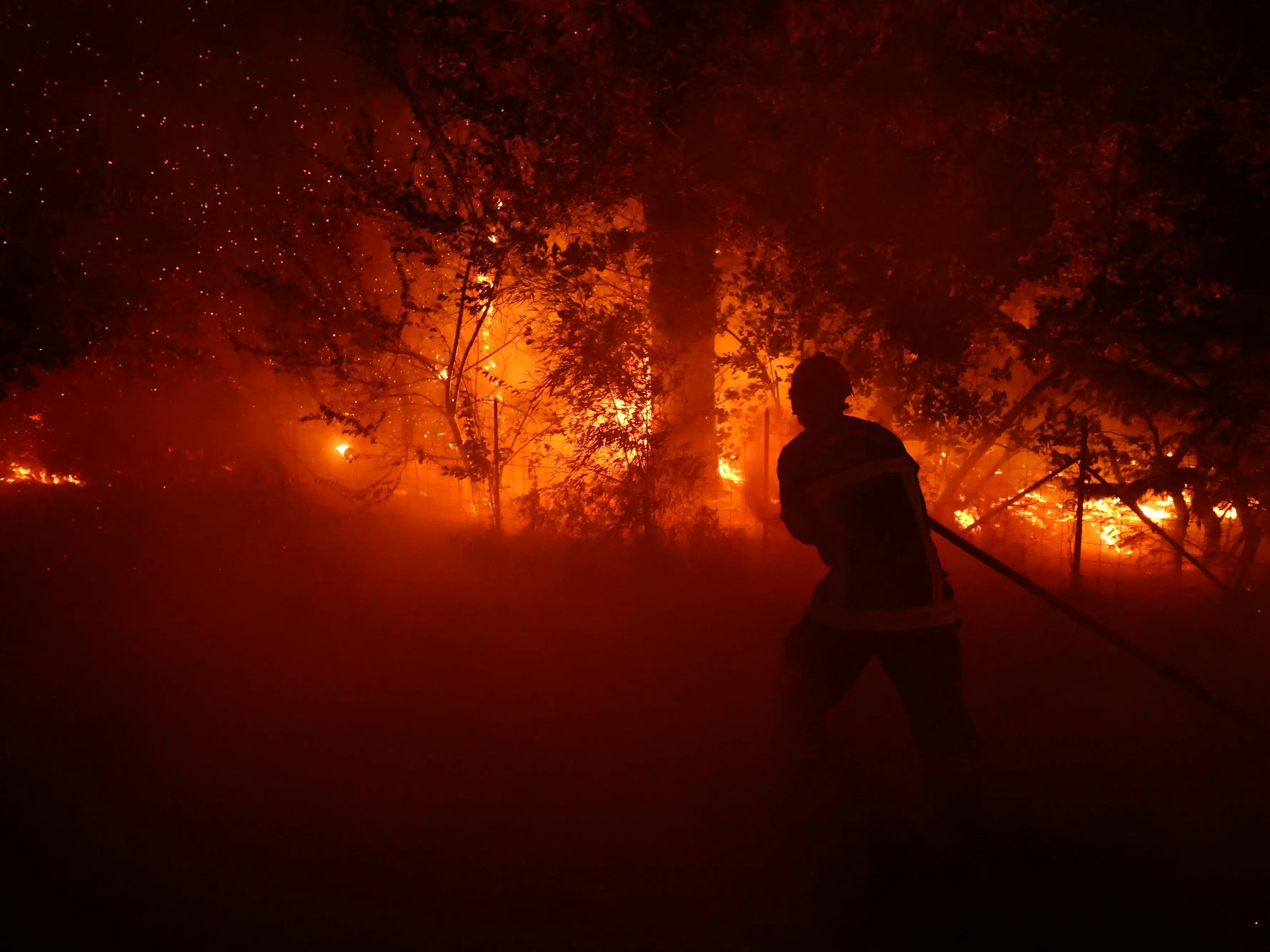 More than 10,000 evacuated as wildfires continue