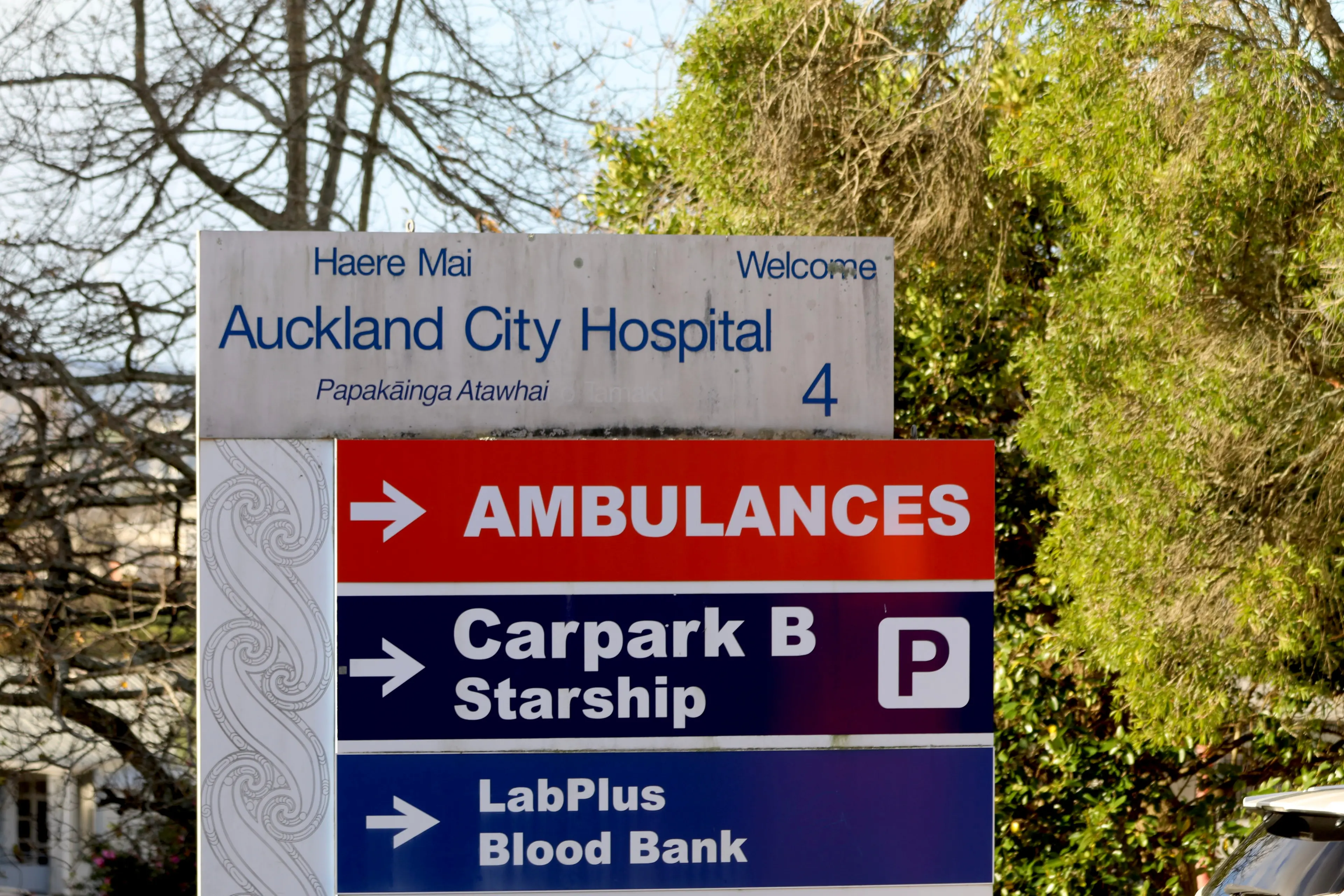 The Nurses Organisation told RNZ there had been a recent rise in reports of insects at Auckland Hospital. Photo: RNZ / YouTube