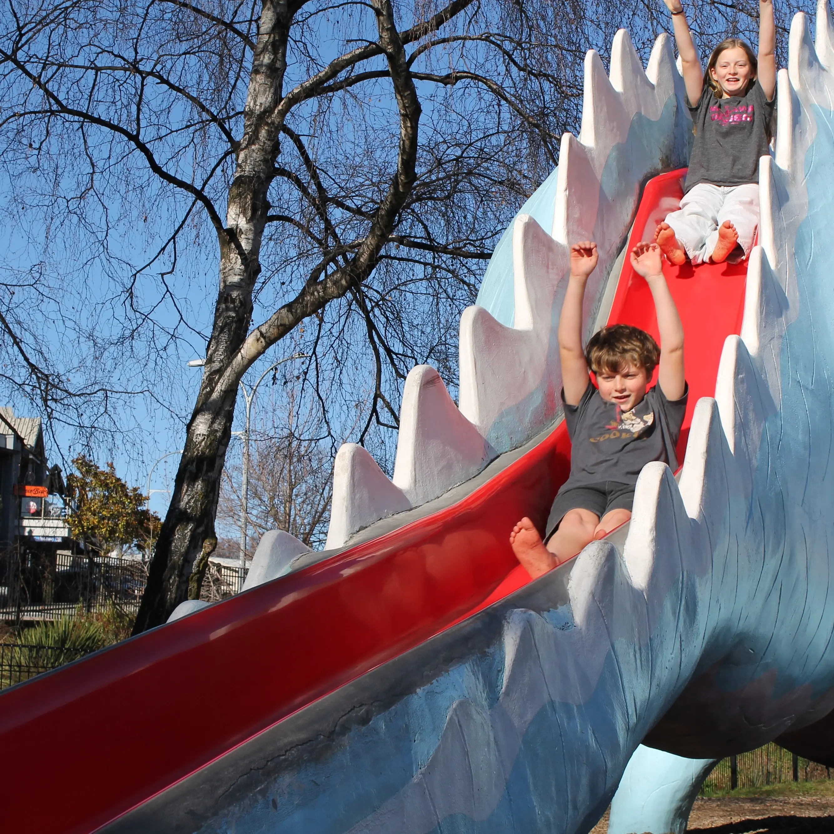 Wānaka wins battle of dinosaur slides