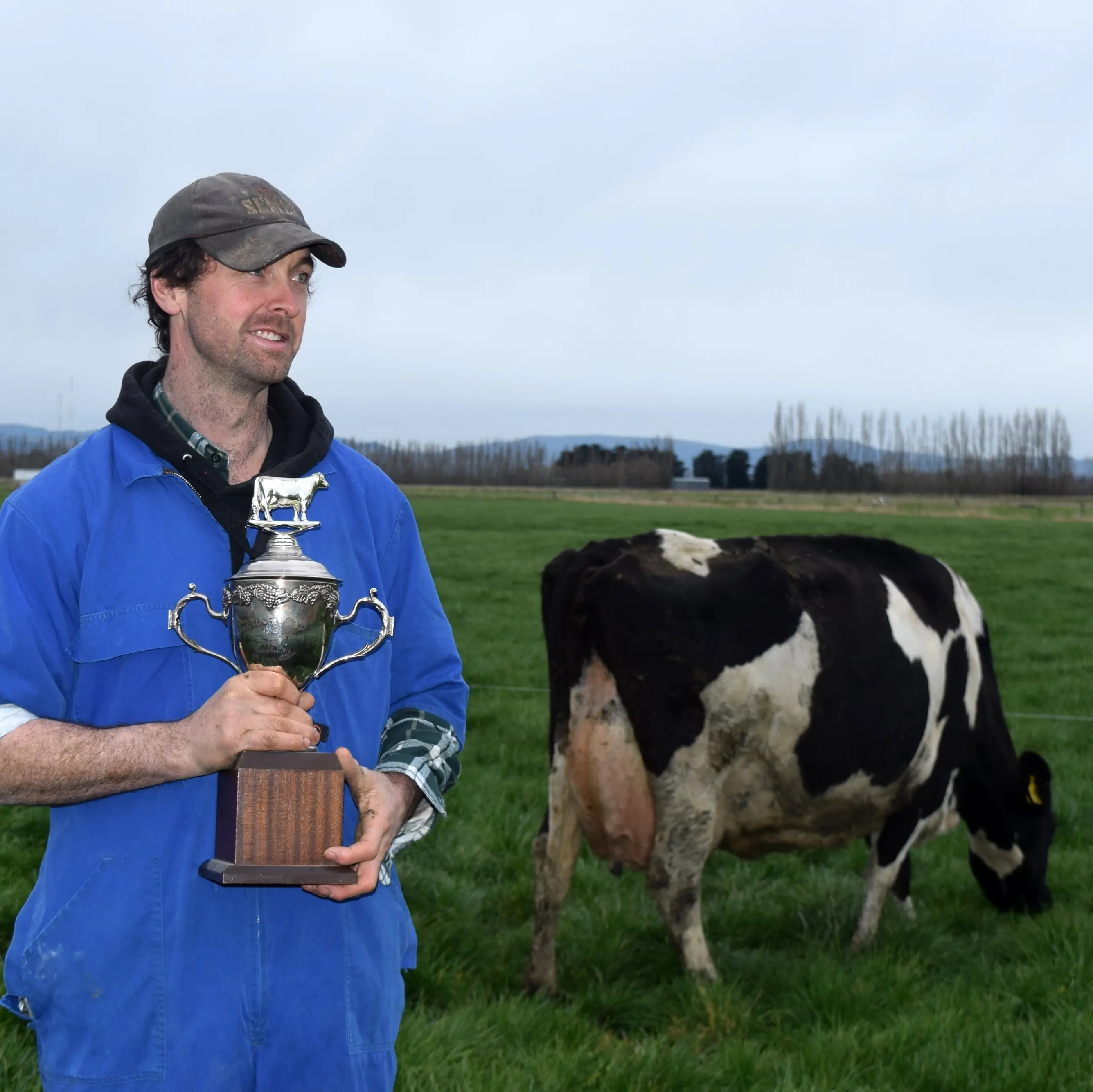 Outstanding in her field: Taieri cow co-wins top Holstein Friesian regional competition