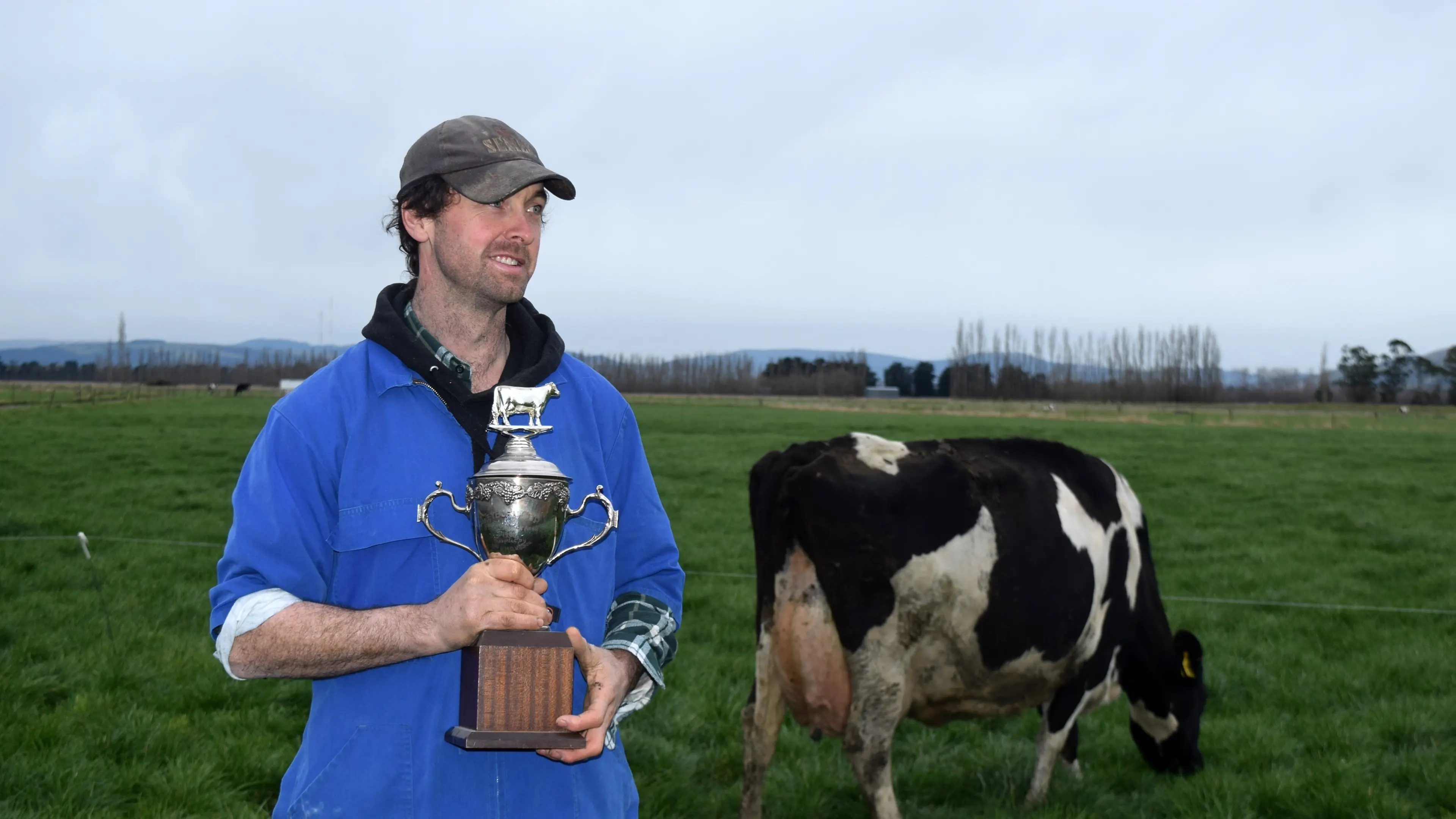 Outstanding in her field: Taieri cow co-wins top Holstein Friesian regional competition