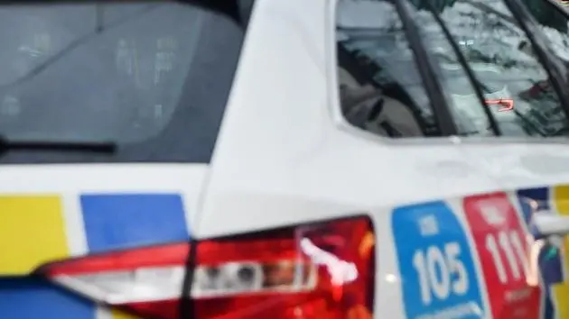 TV violence believed behind hoax callout