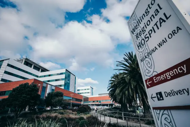 <p>Wellington Hospital's Emergency Department was at 200% occupancy and short 10 nurses when the incident happened. File photo: RNZ</p>\\n