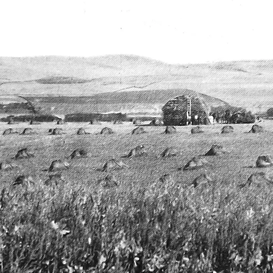 Make hay while the clock chimes