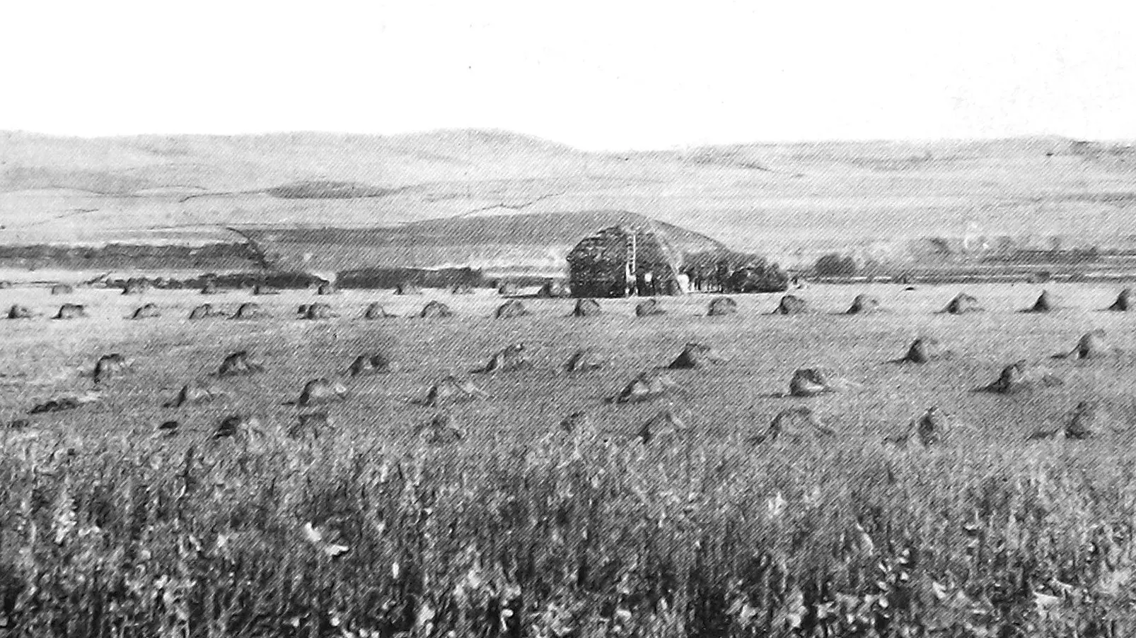 Make hay while the clock chimes