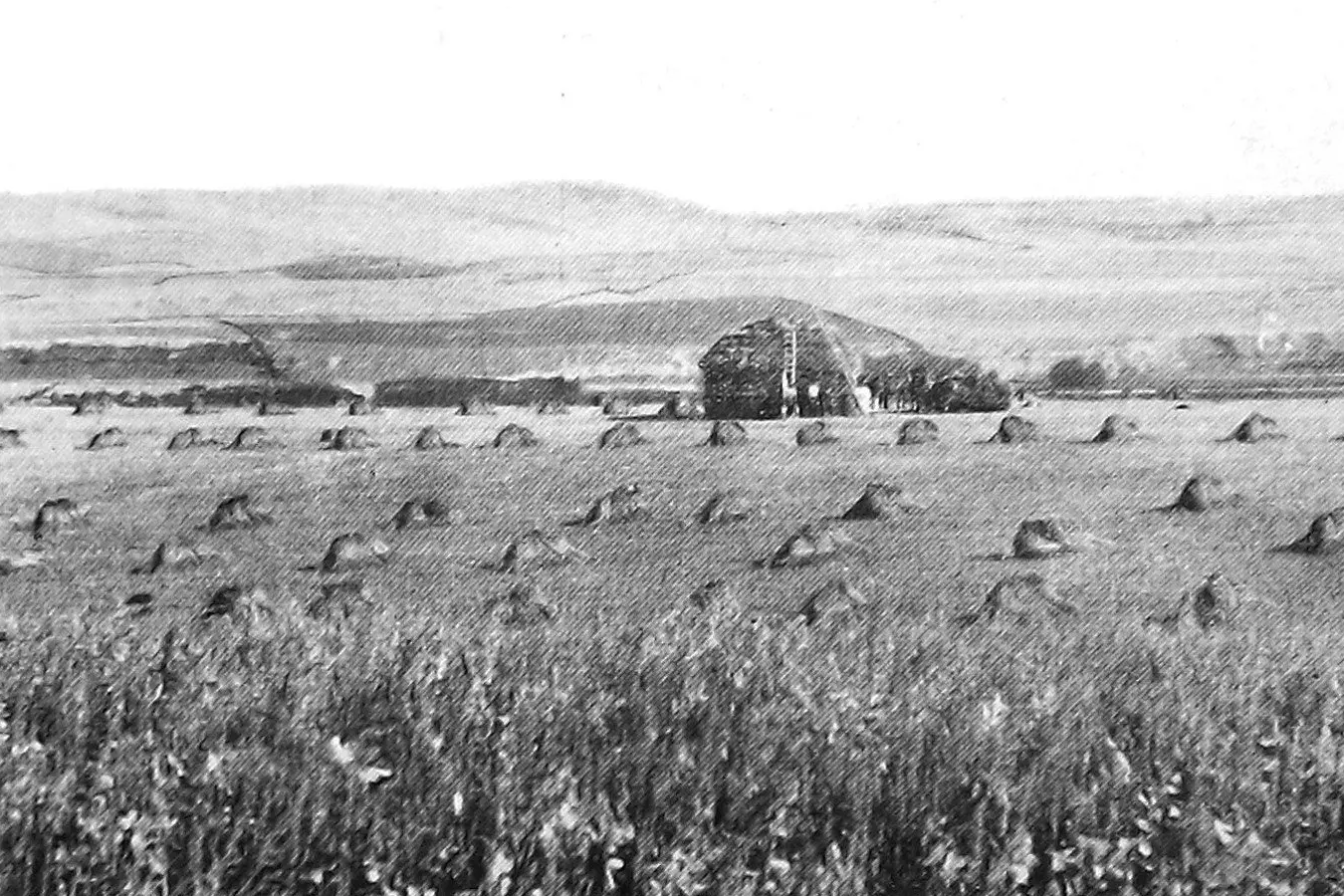 Labours ruled by the sun: harvesting on Mr E.W. Feutz\\u2019s property at Sutherlands, South Canterbury, with Tycho Hills in the distance. Photo: Otago Witness, issue 3774, July 13 1926, page 41