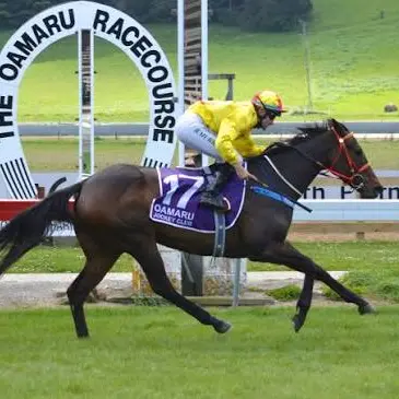 Finish line in sight for southern racecourses?