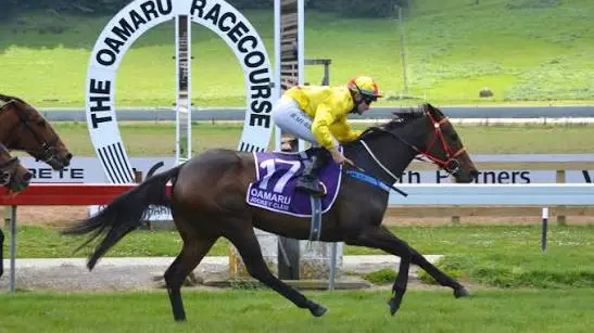 Finish line in sight for southern racecourses?