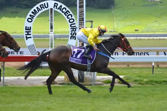 Oamaru is one of three southern racecourses among seven slated for closure by the report. File photo: ODT