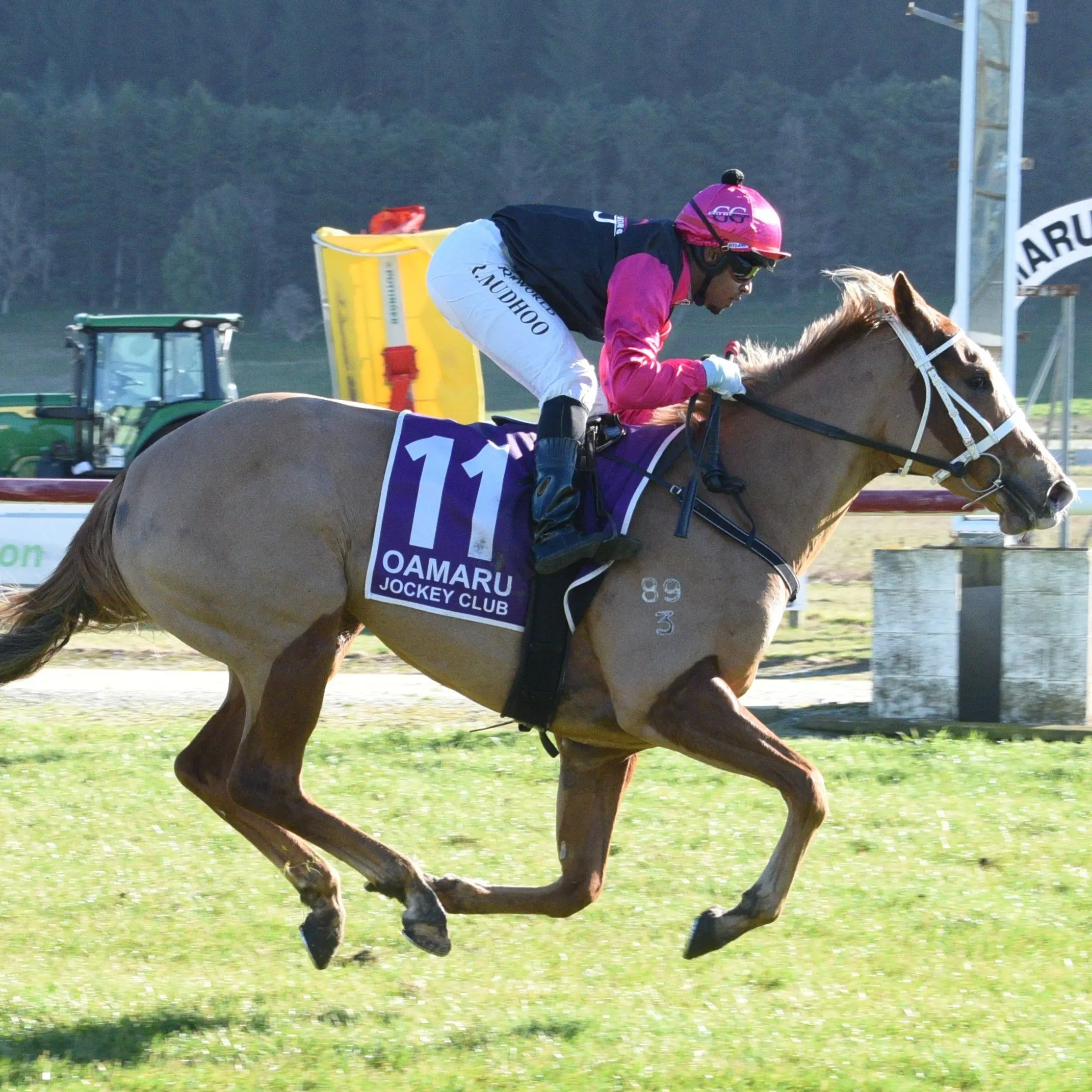 Oamaru, Gore racecourses on the chopping block