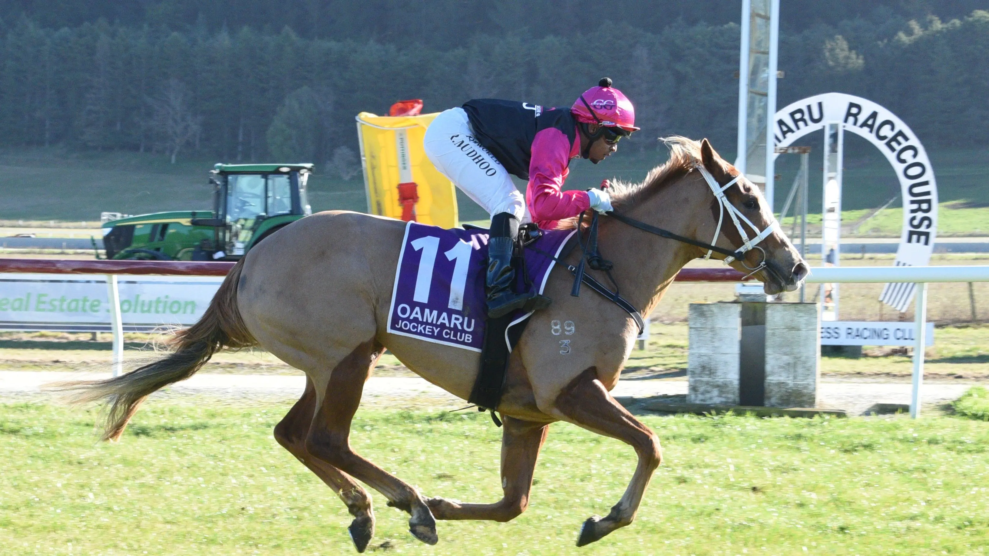 Oamaru, Gore racecourses on the chopping block