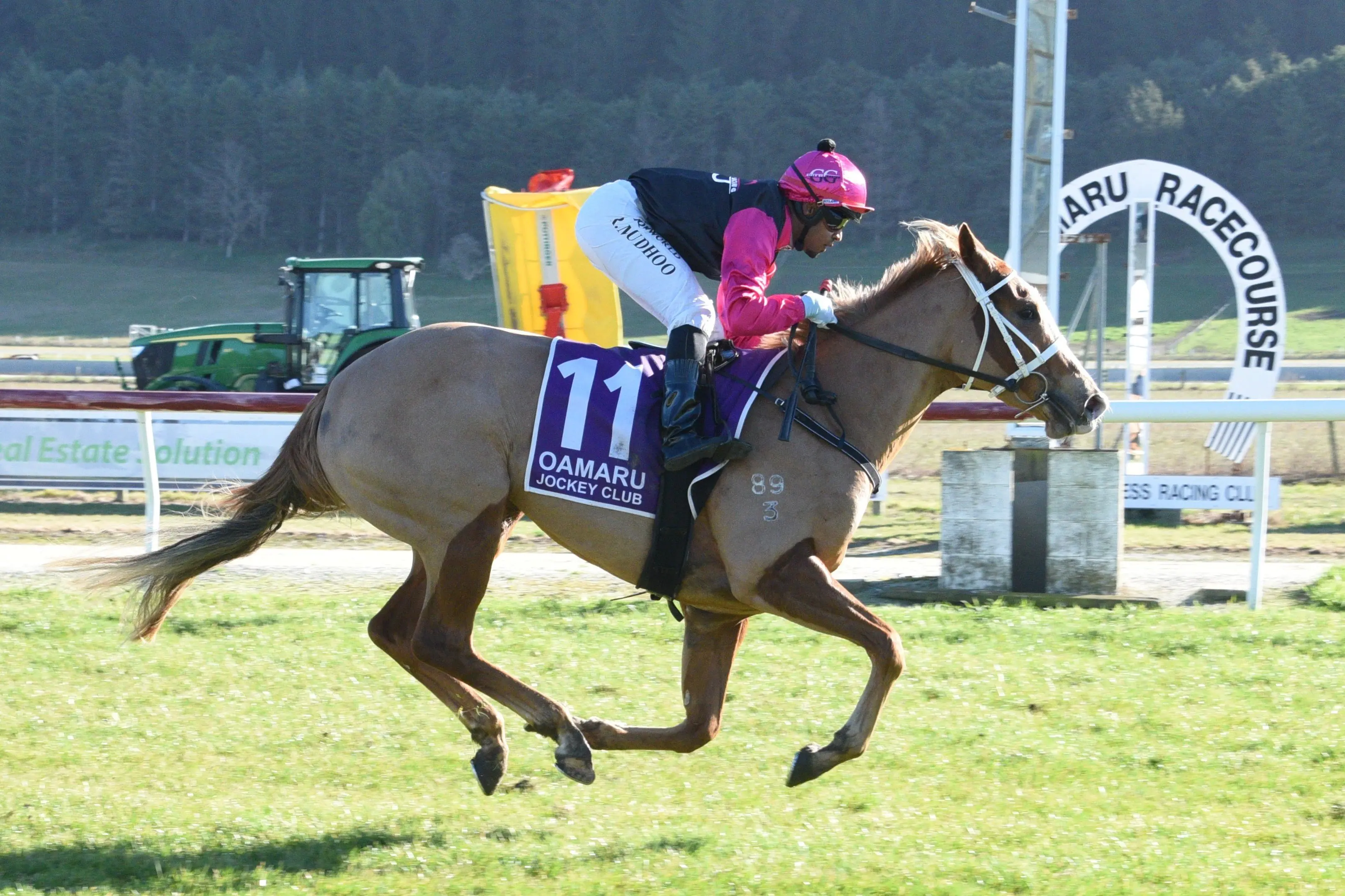 Glamour Extreme wins on debut at the Oamaru races on July 19. Photo: Tayler Strong/Race Images