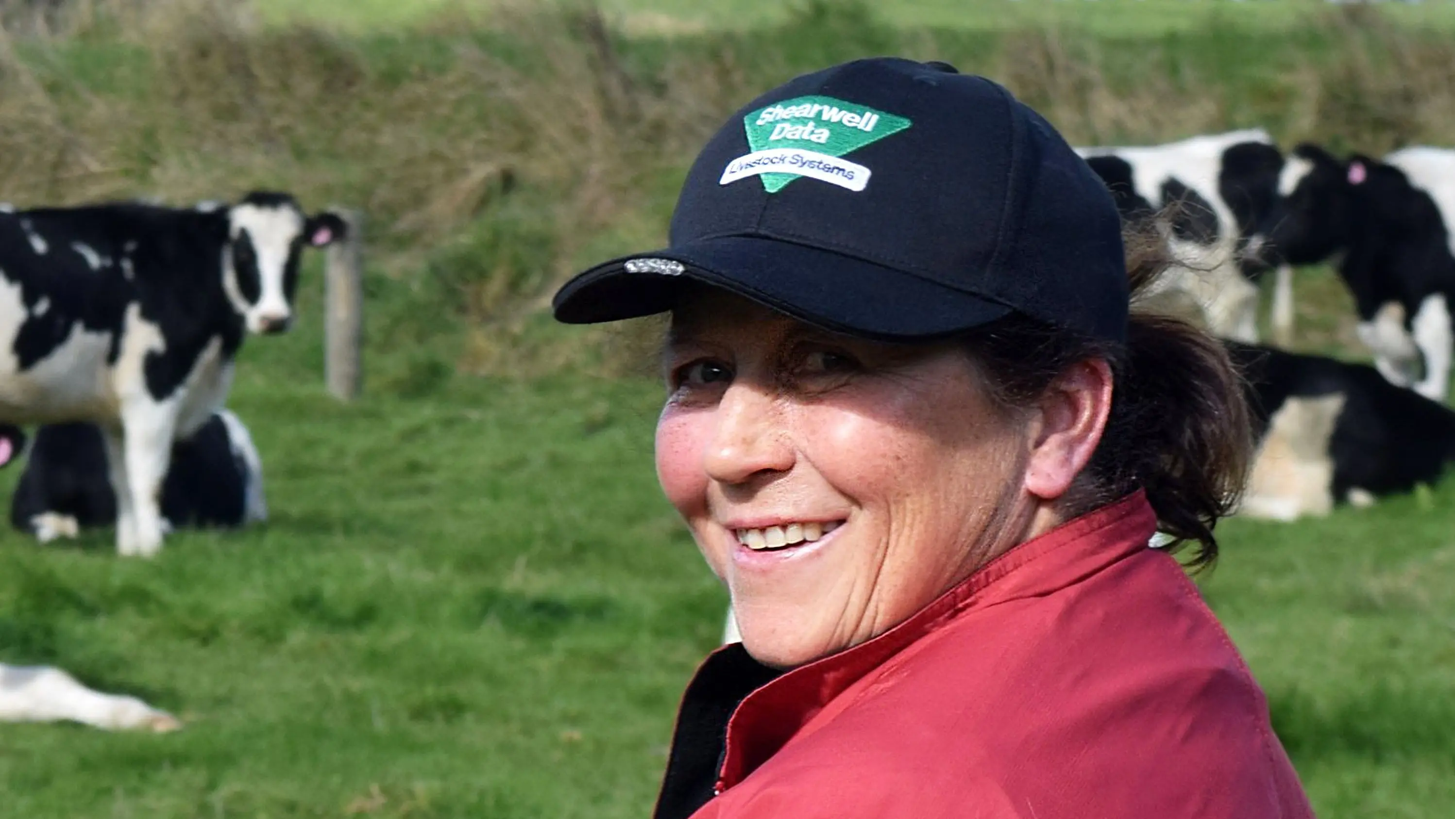 Catlins dairy-beef heifer wins best on fork and marbling titles