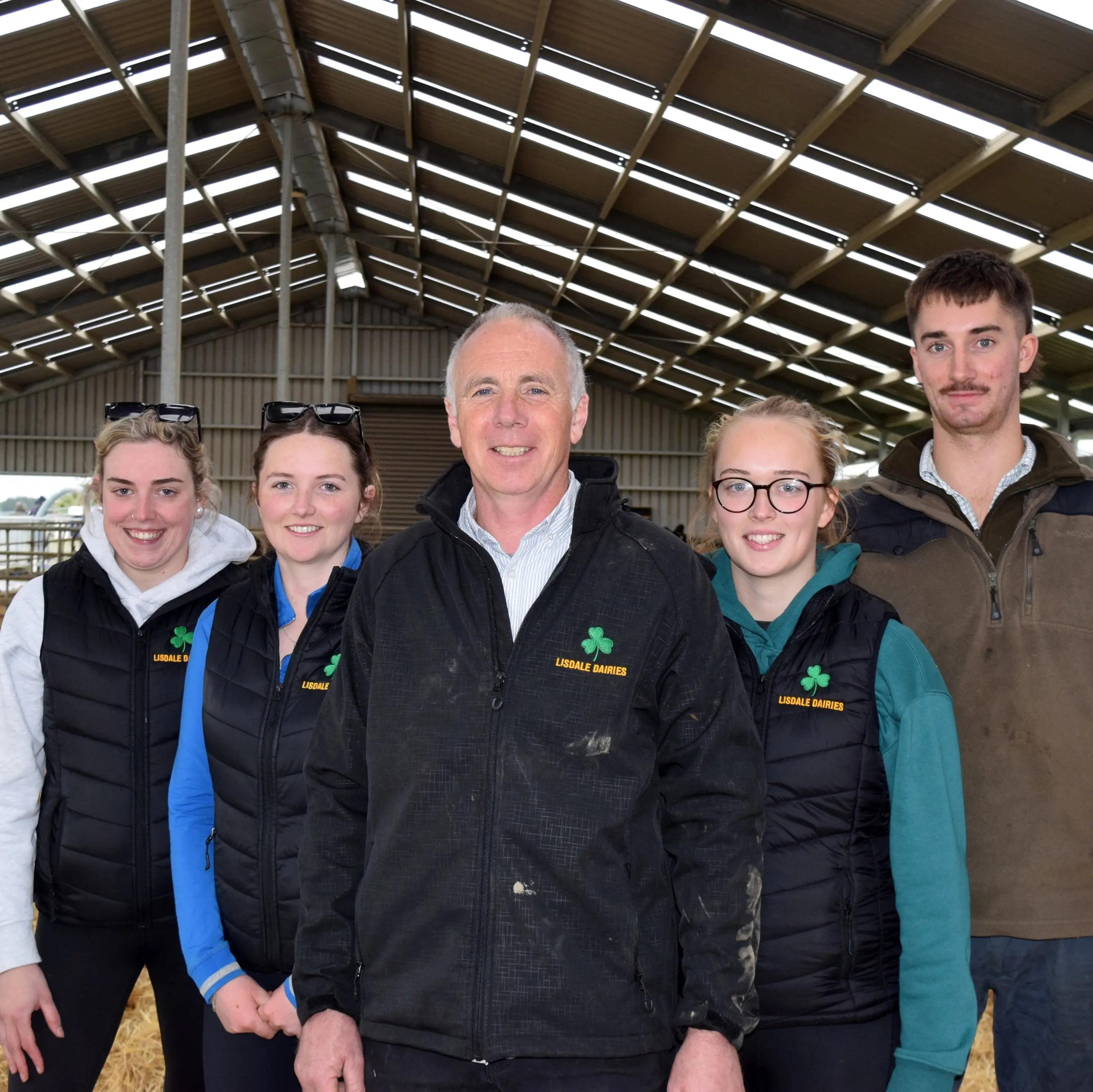 New dairy calves arrive on straw bedding in barn in Eastern Southland