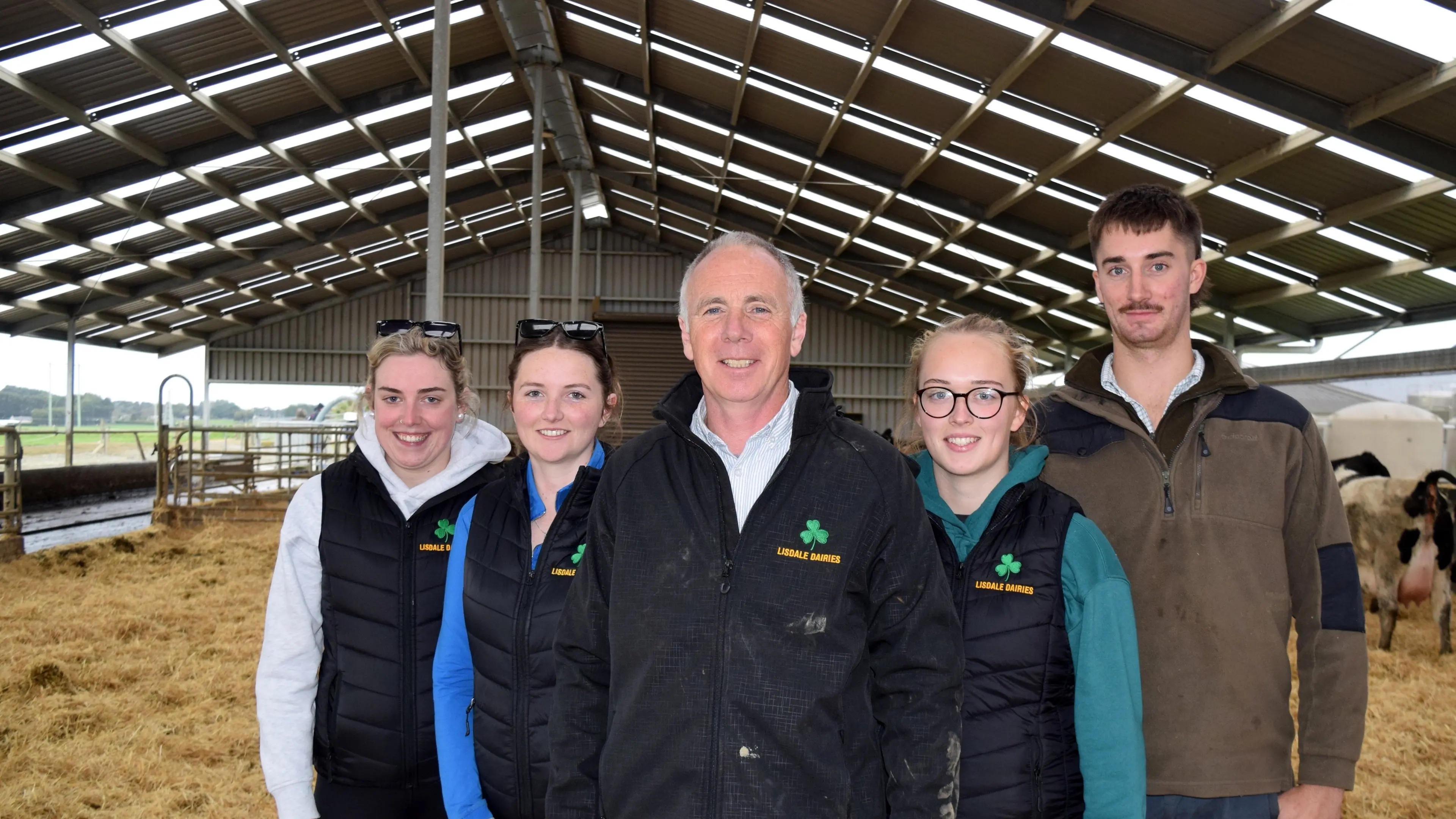 New dairy calves arrive on straw bedding in barn in Eastern Southland