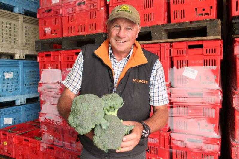 ‘Disappointing outcome’ as growers abandon fight to save McCain factory