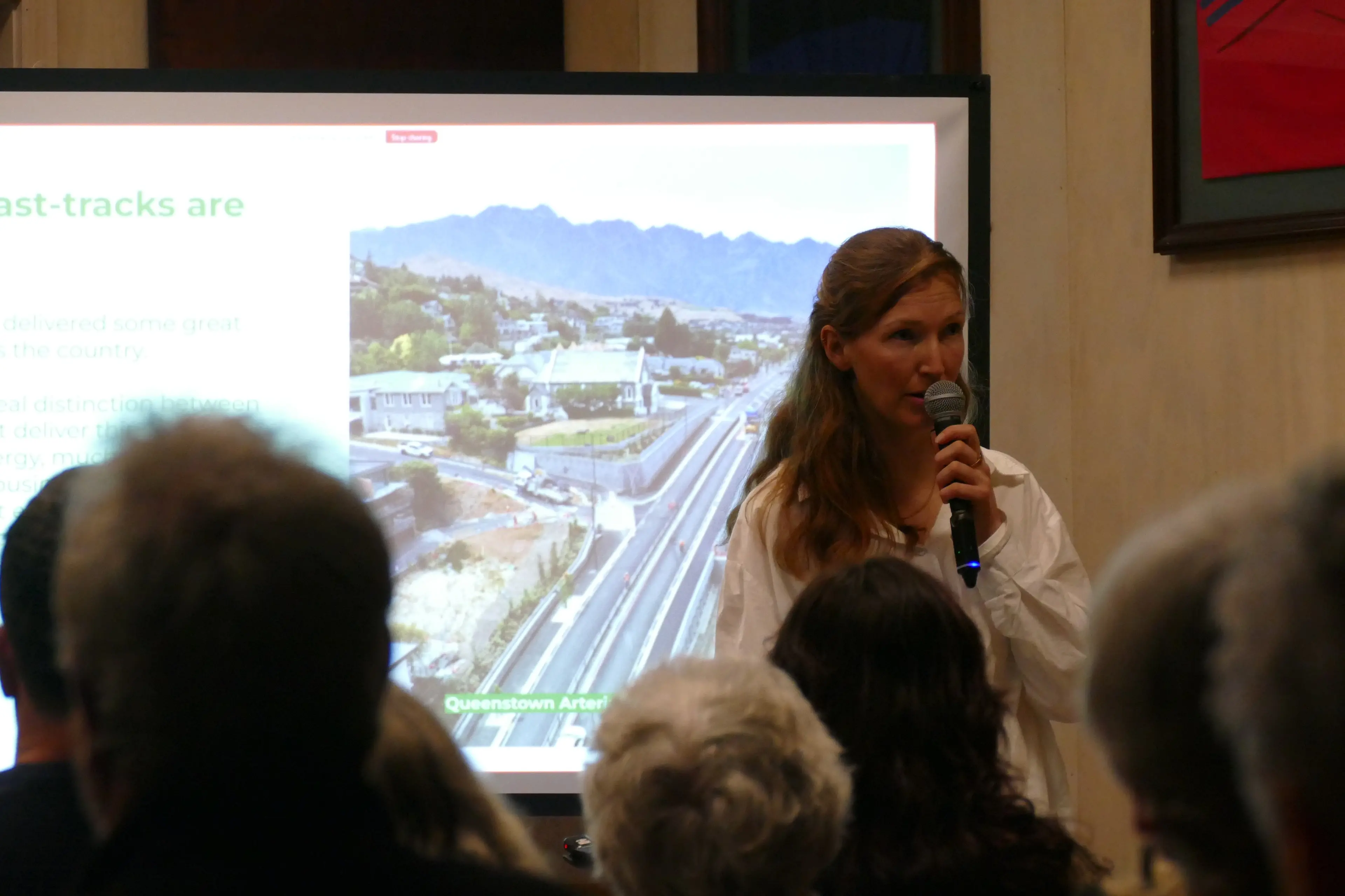 Controversial Arrowtown development labelled ‘a folly of history’
