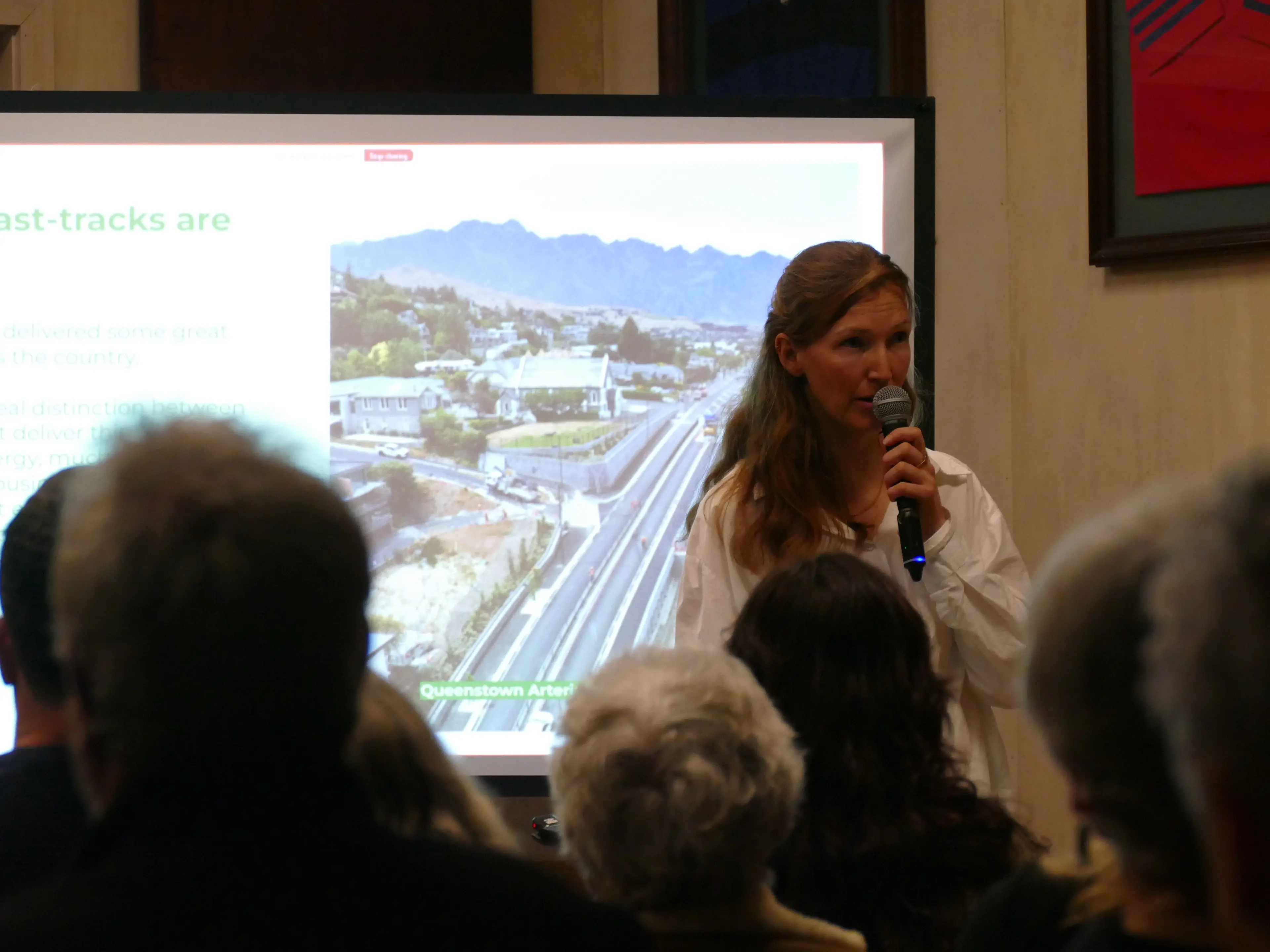 Controversial Arrowtown development labelled ‘a folly of history’