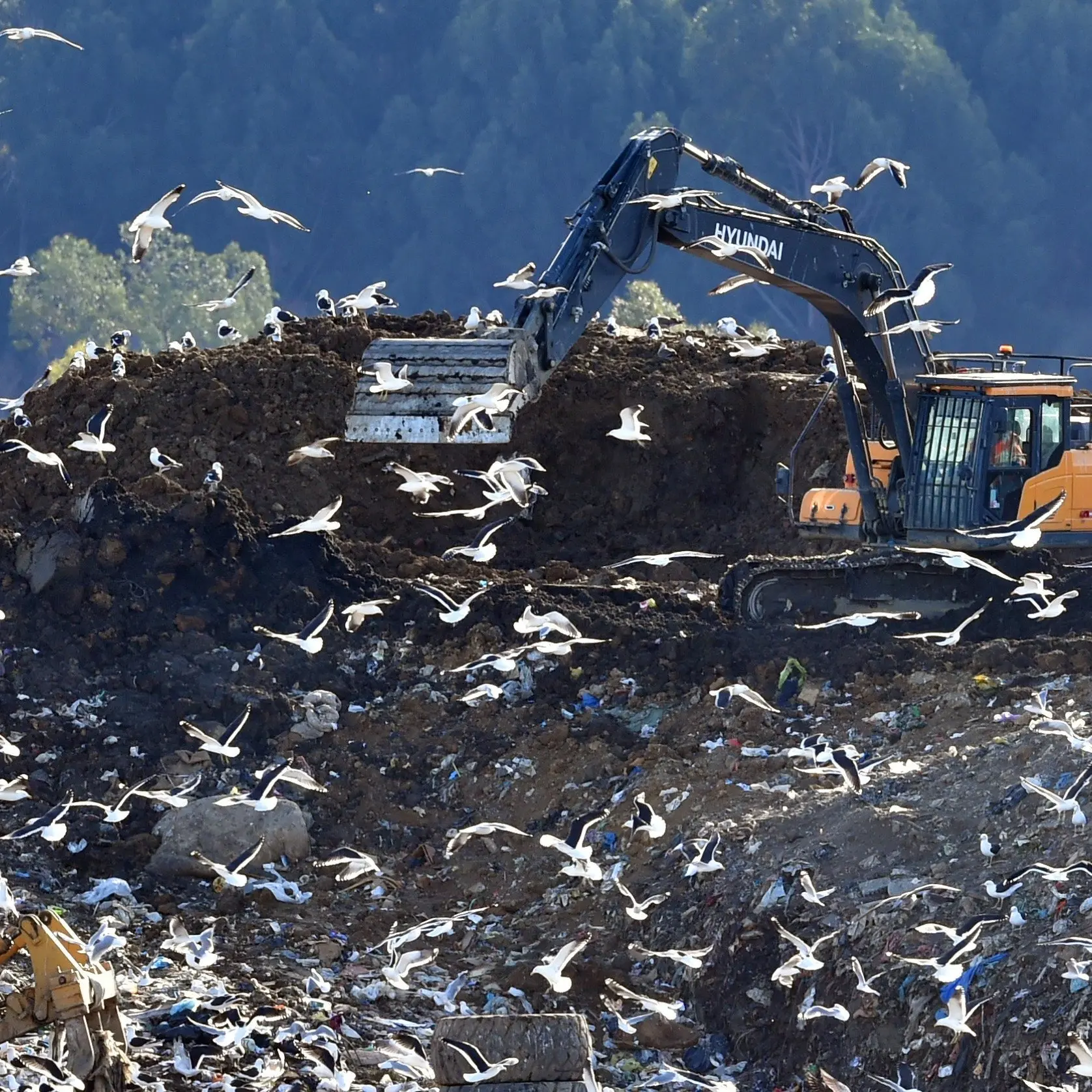 Smooth Hill rethink as city throws away less rubbish