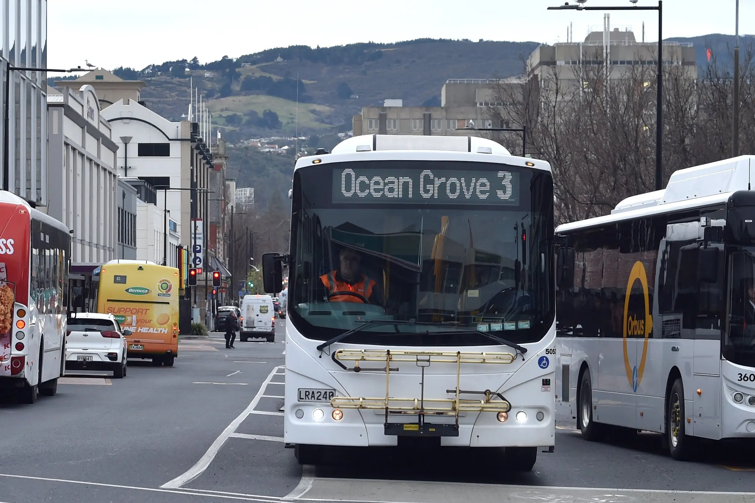 Buses at the Bus Hub. Photo: Peter McIntosh
